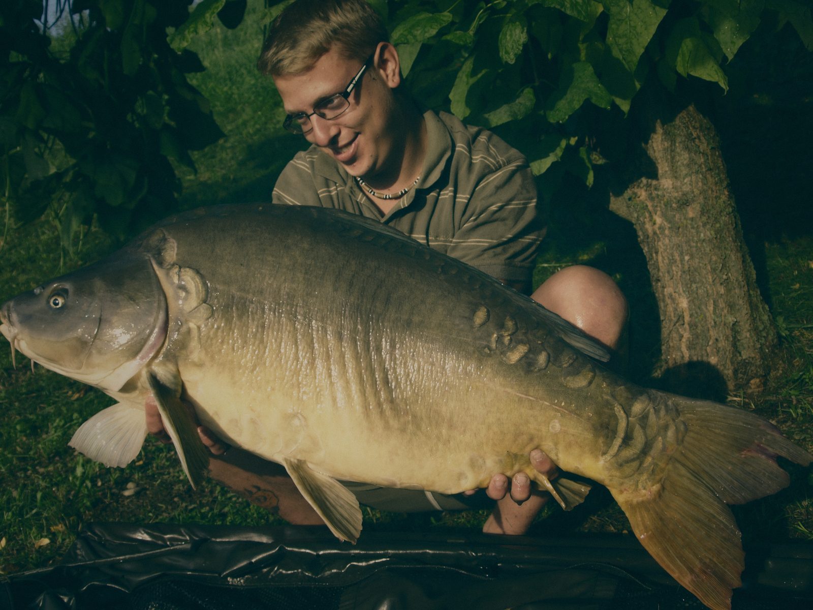 Styria Carp