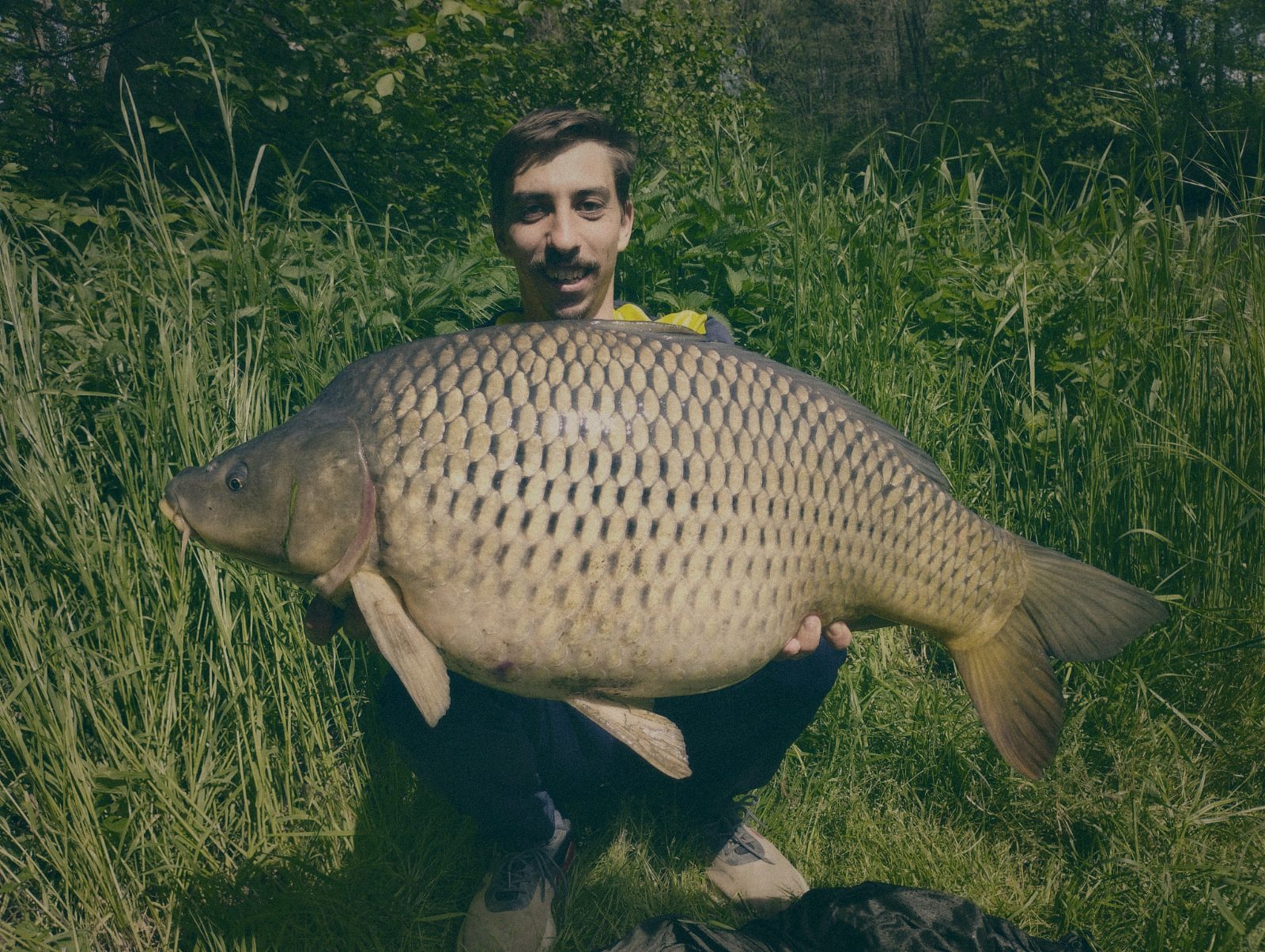 Styria Carp 0000