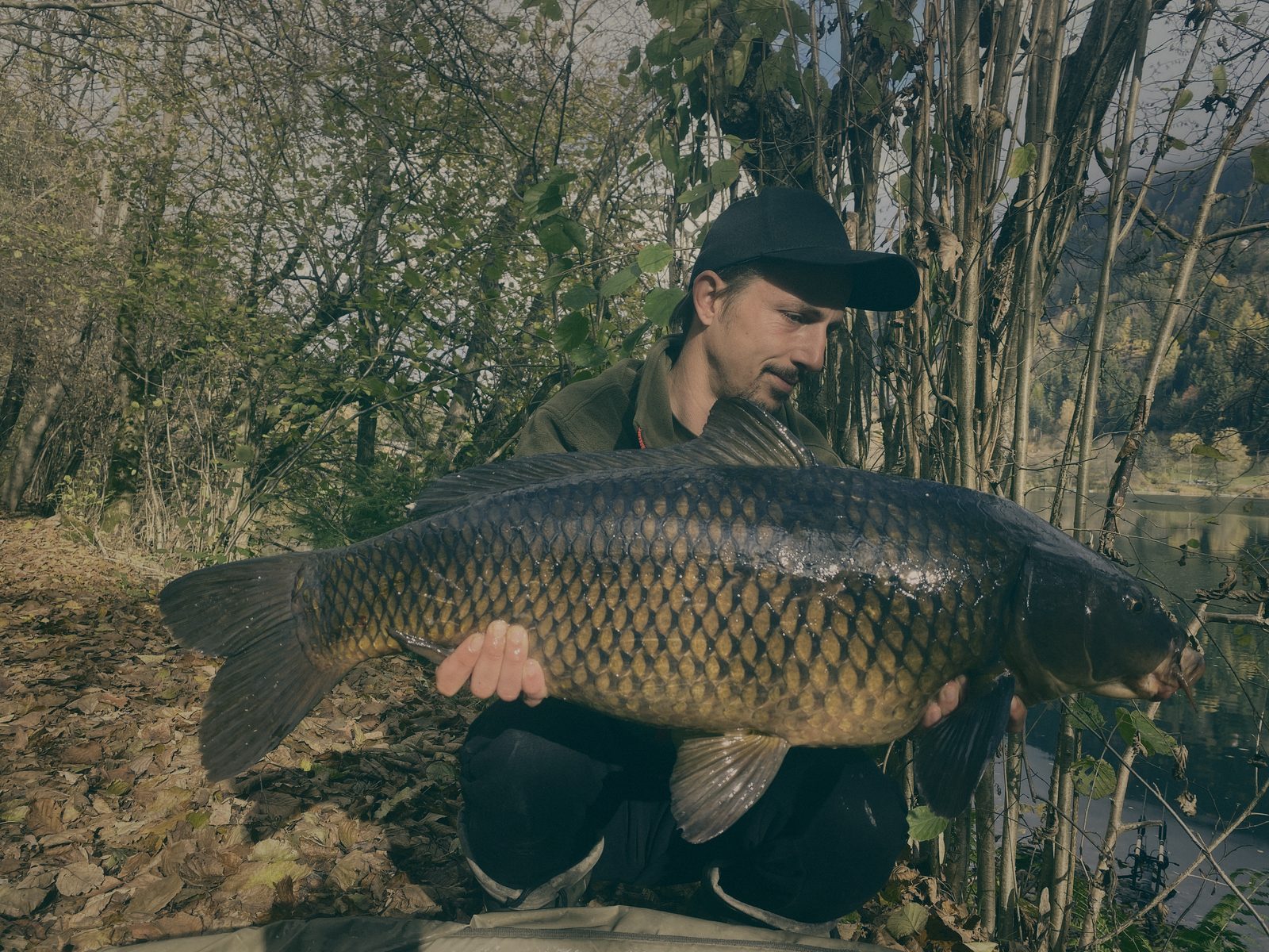Styria Carp 0000