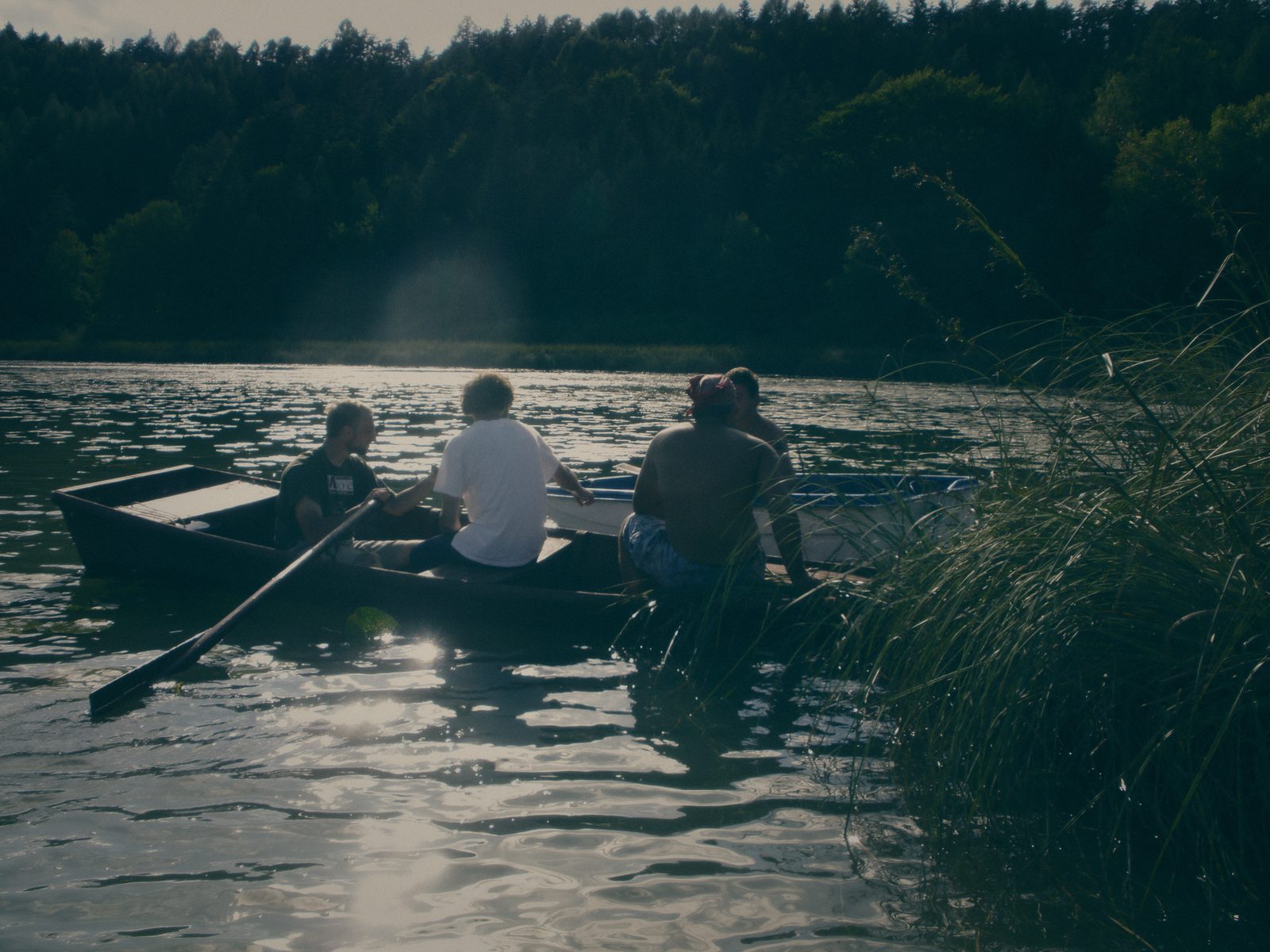 Styria Carp 0000