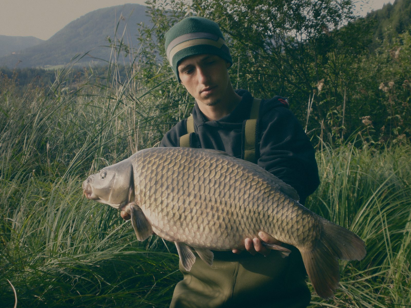 Styria Carp 0000