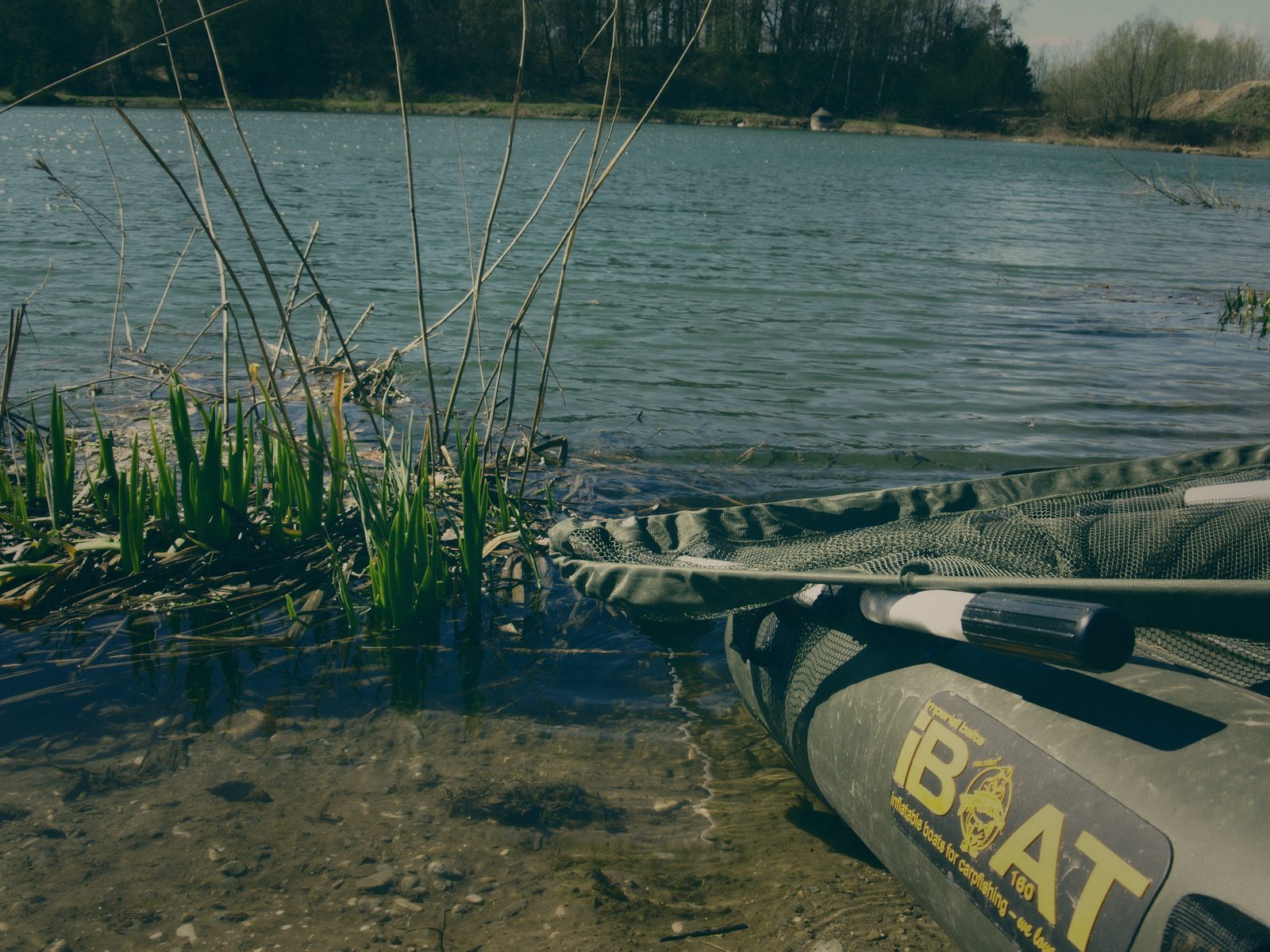 Styria Carp 0000