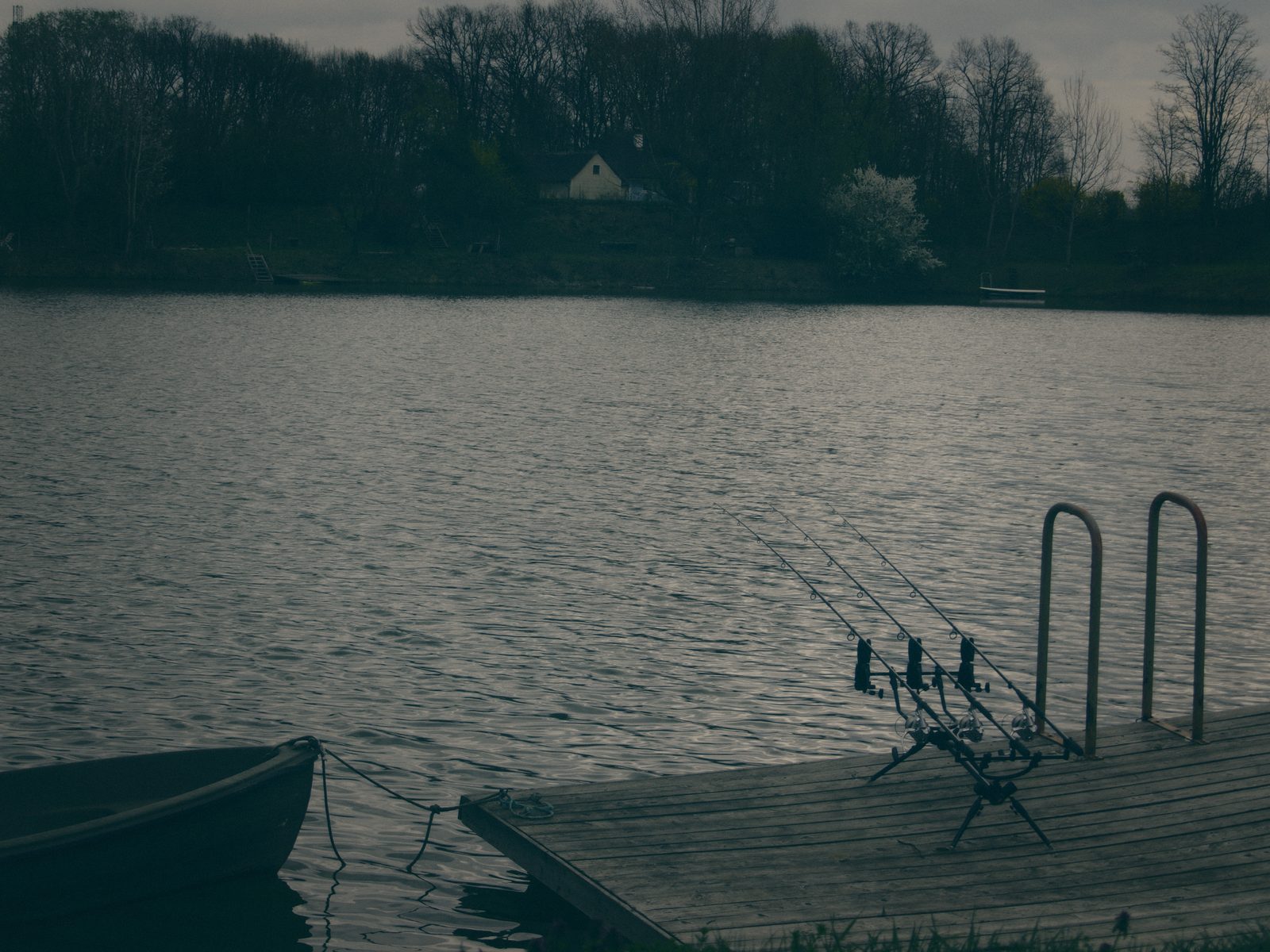 Styria Carp 0000