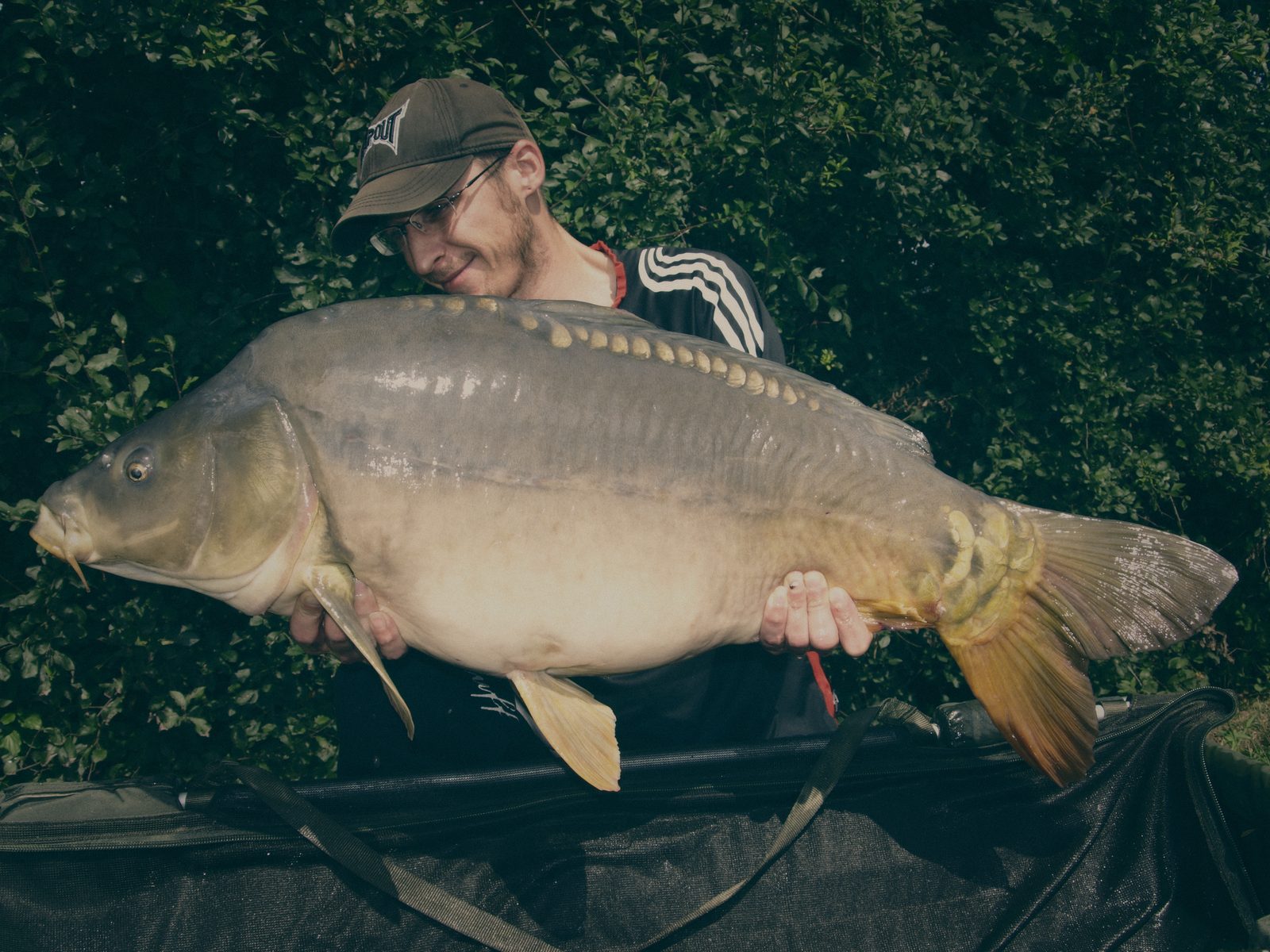 Styria Carp 2008