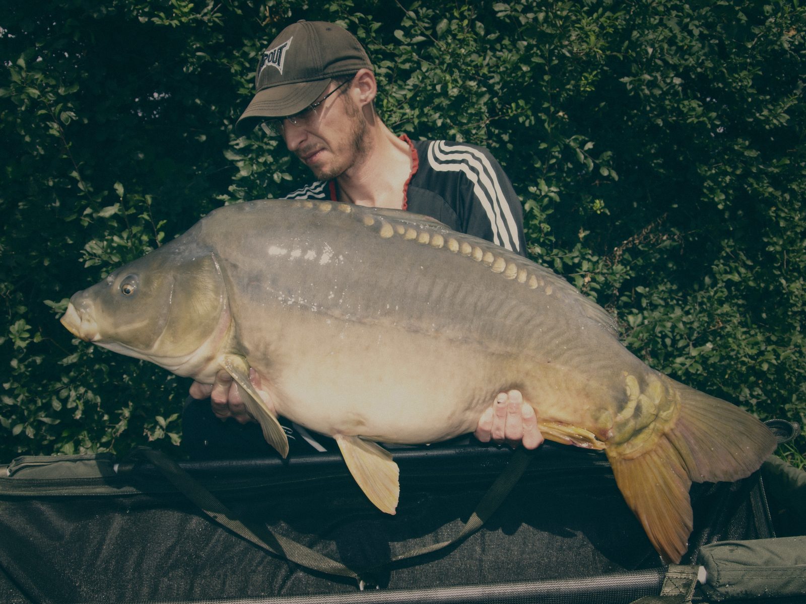 Styria Carp 2008
