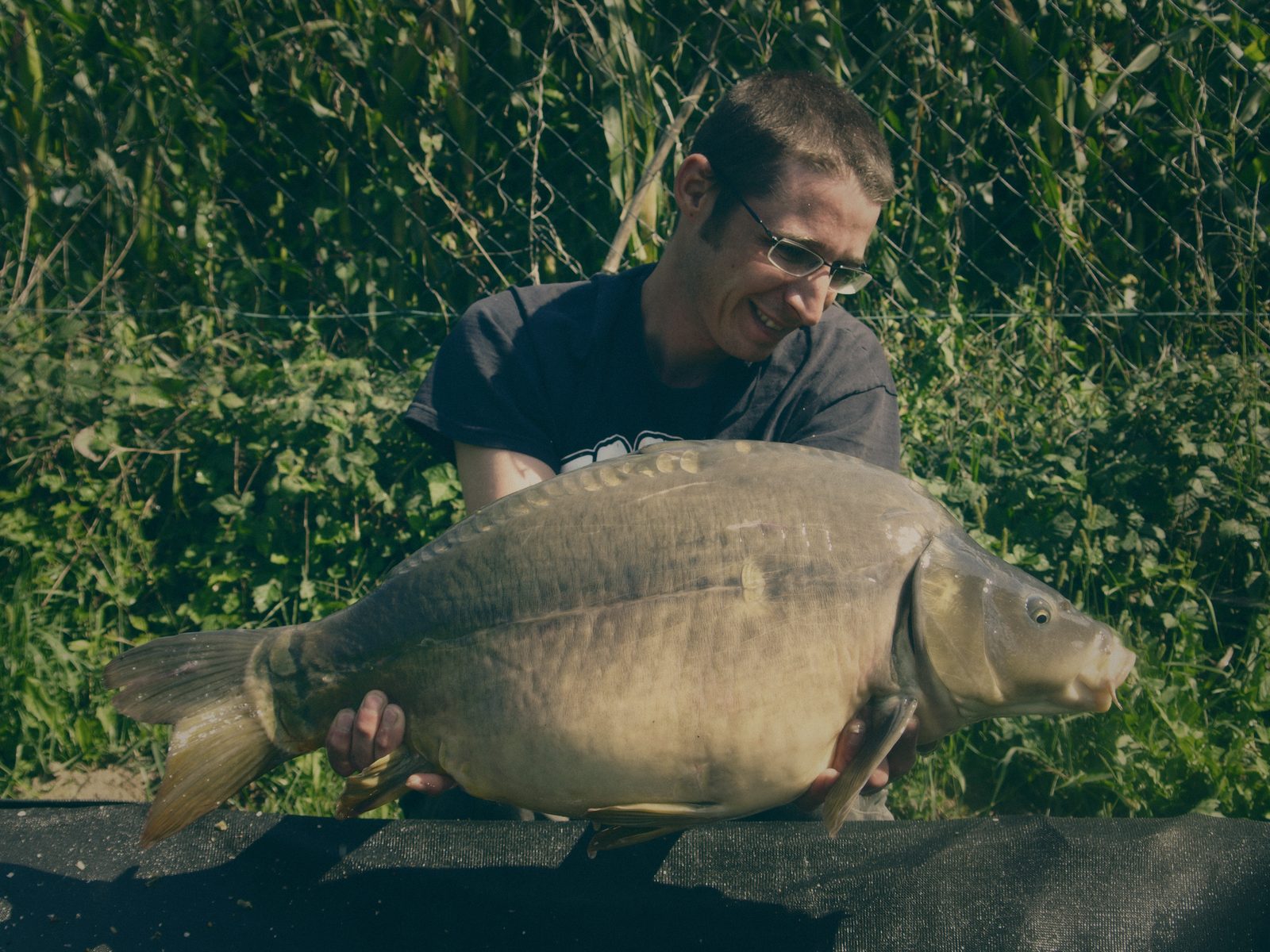 Styria Carp 2006
