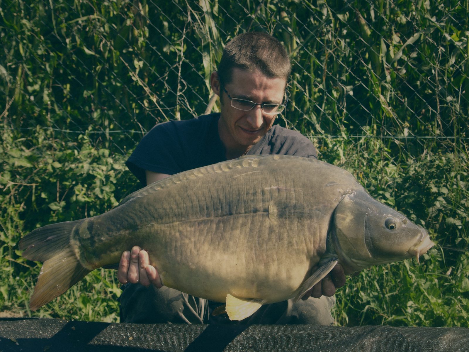 Styria Carp 2006