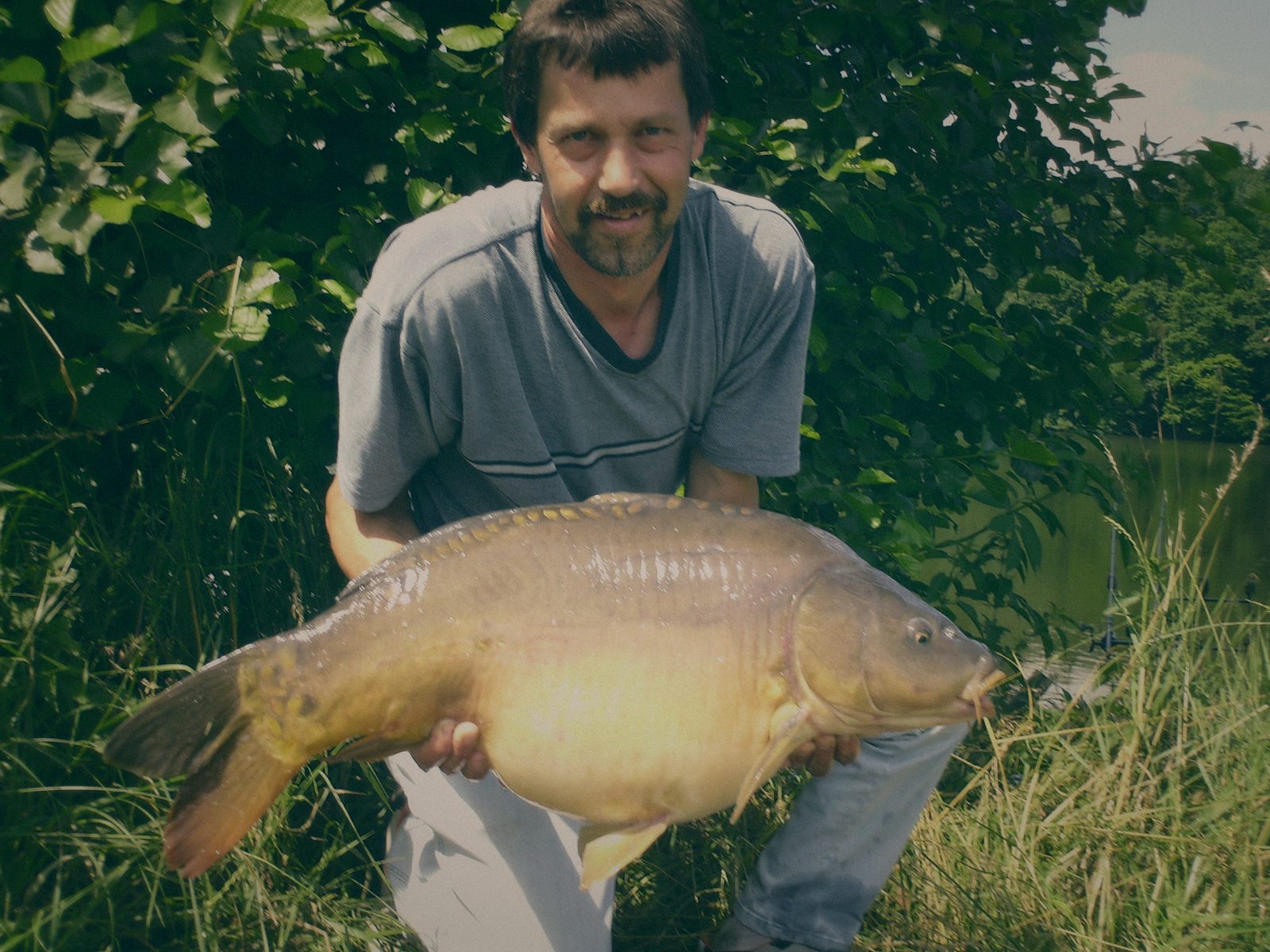 Styria Carp 2006