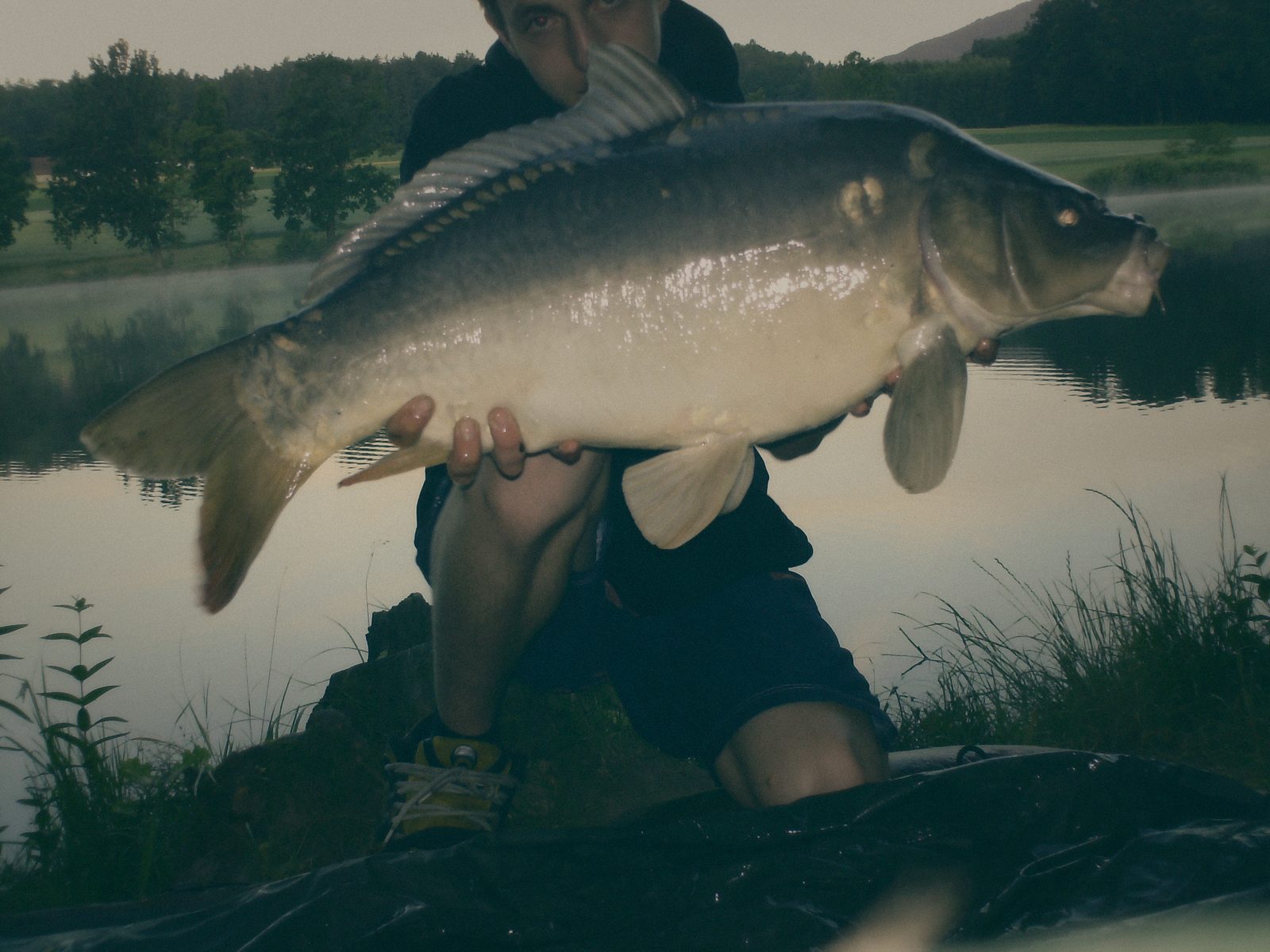 Styria Carp 2006
