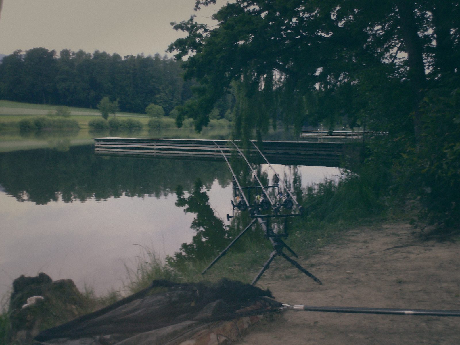 Styria Carp 2006
