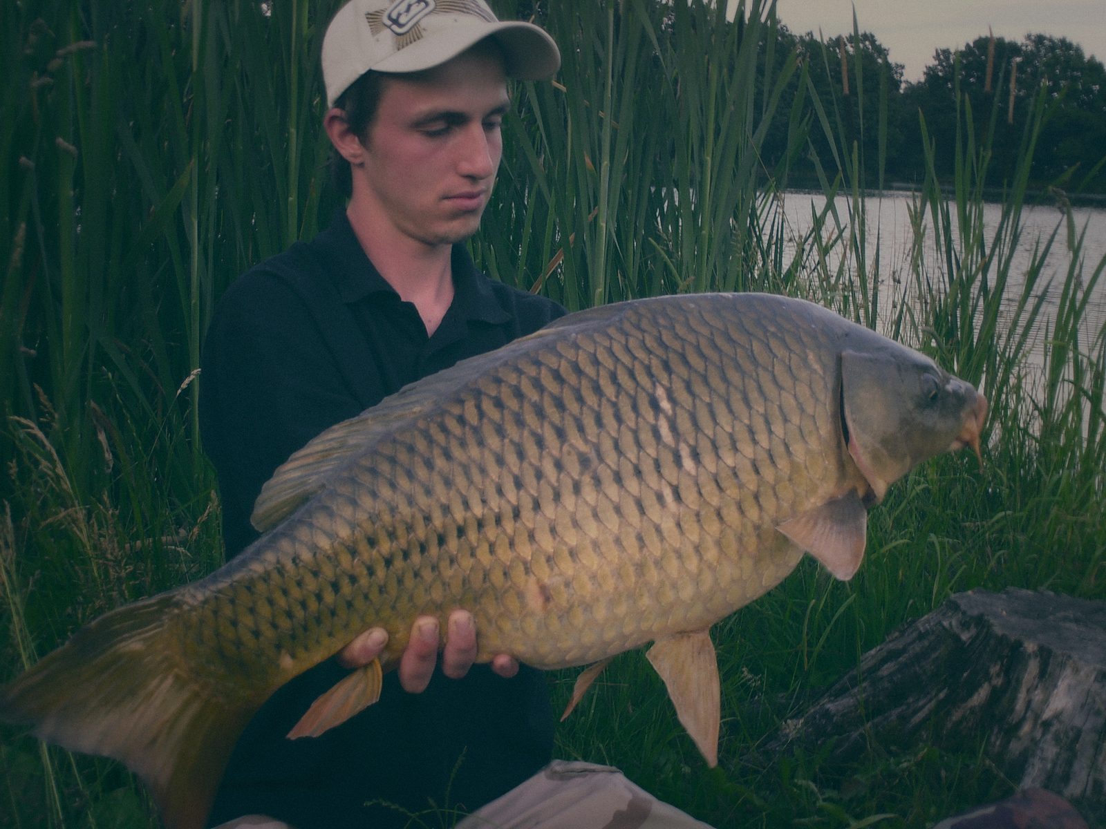 Styria Carp 2006
