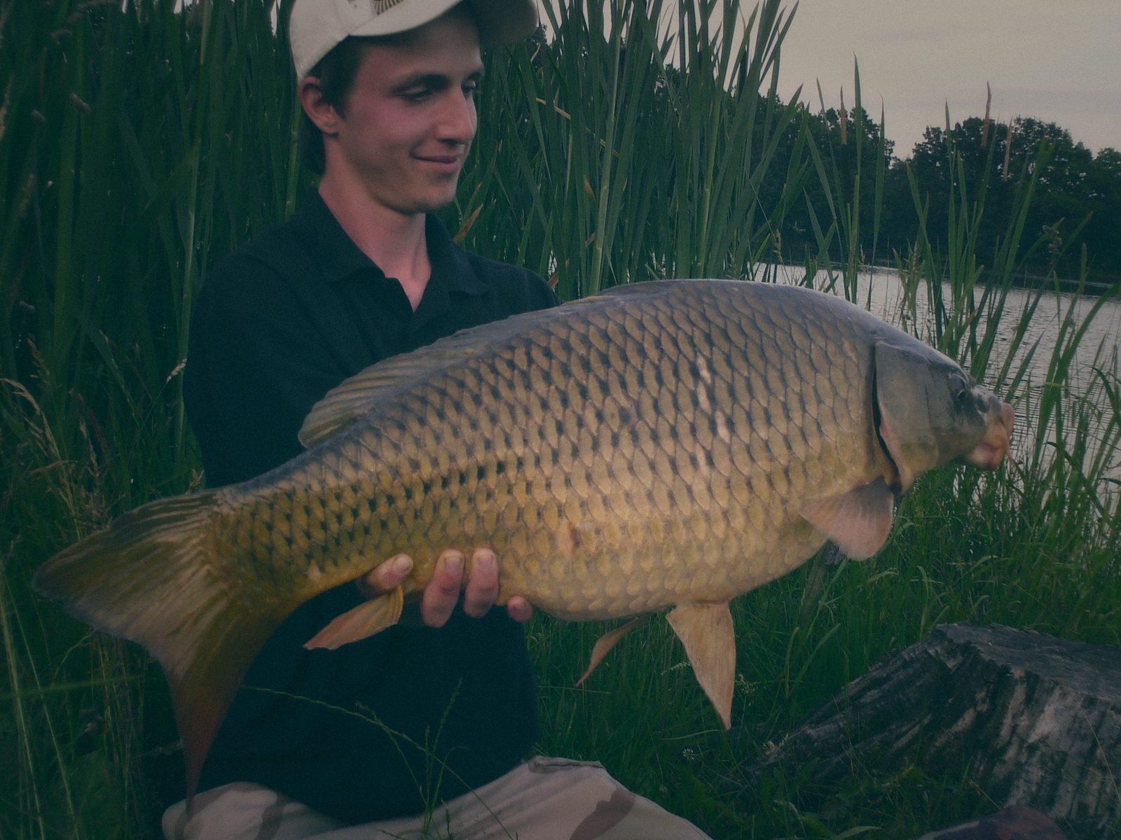Styria Carp 2010