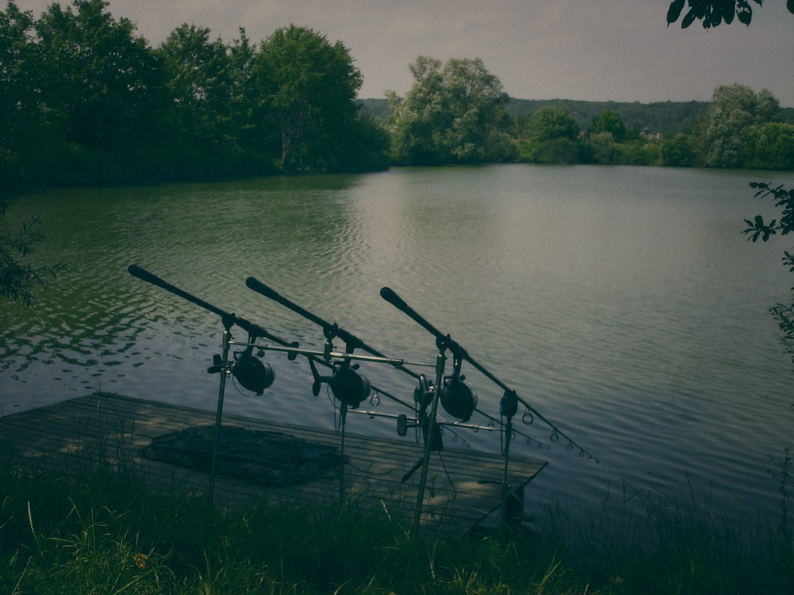 Styria Carp 2010