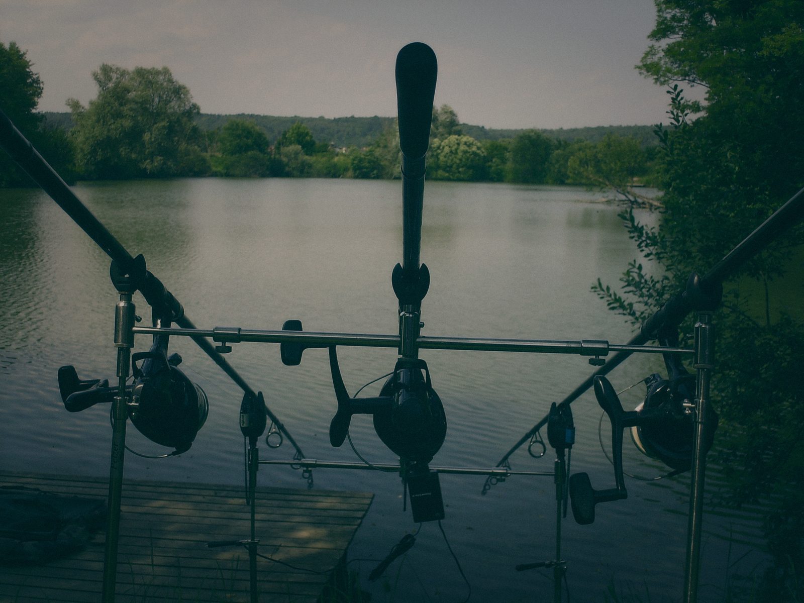 Styria Carp 2010