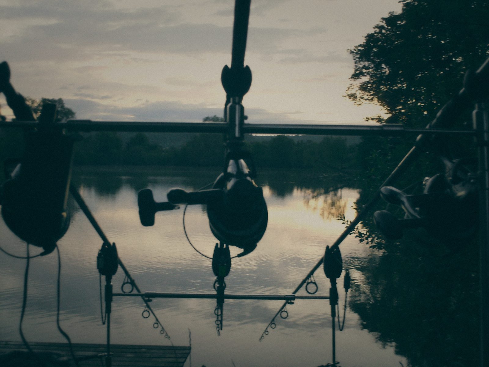 Styria Carp