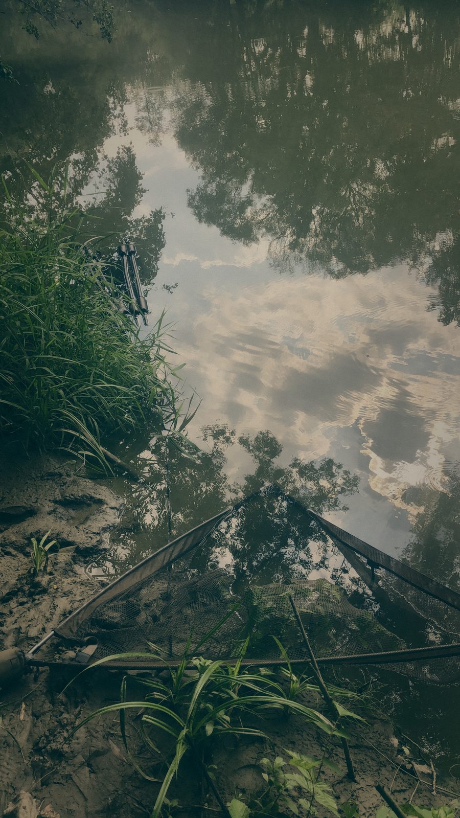 Styria Carp 2020