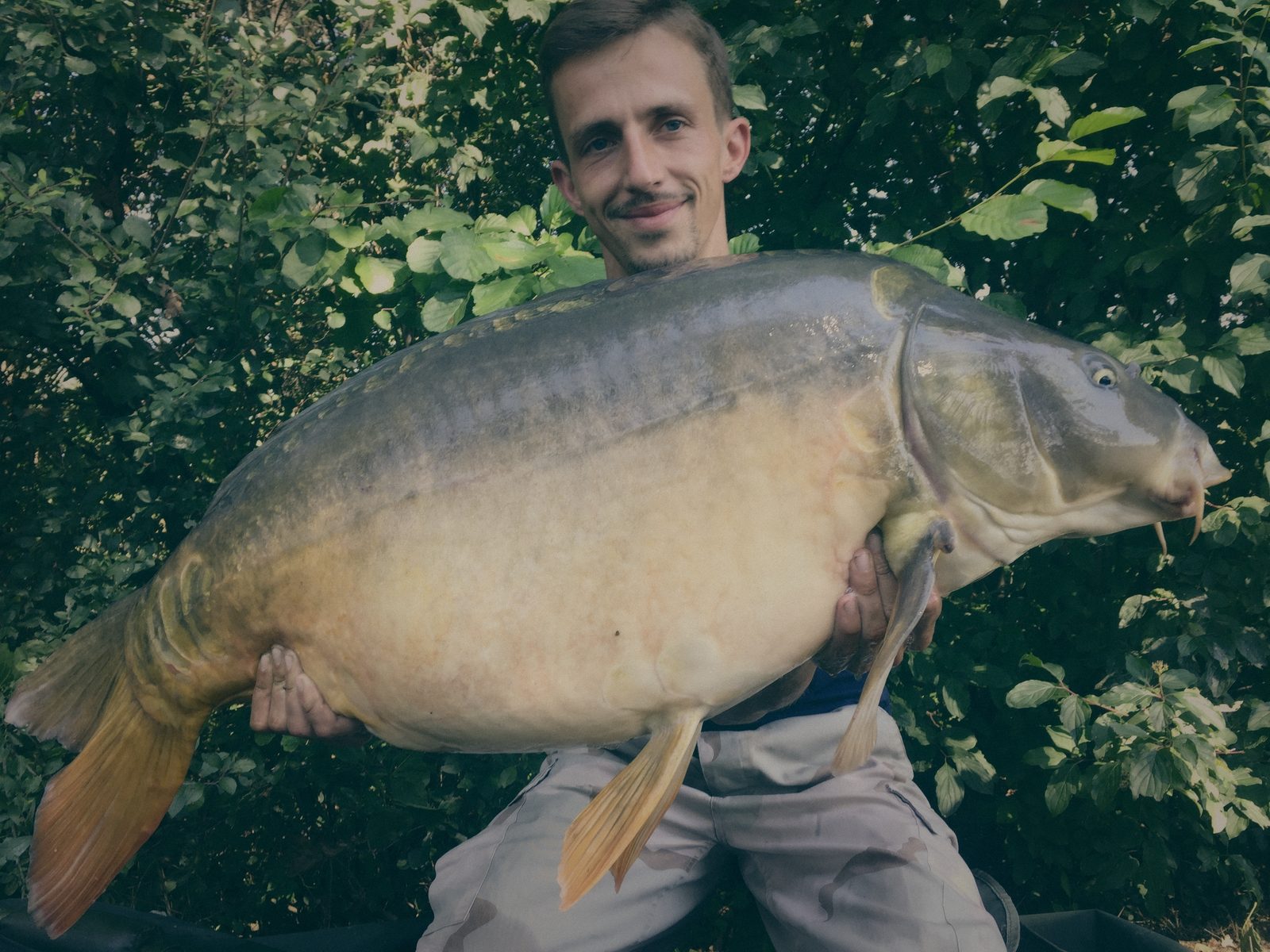 Styria Carp 2016