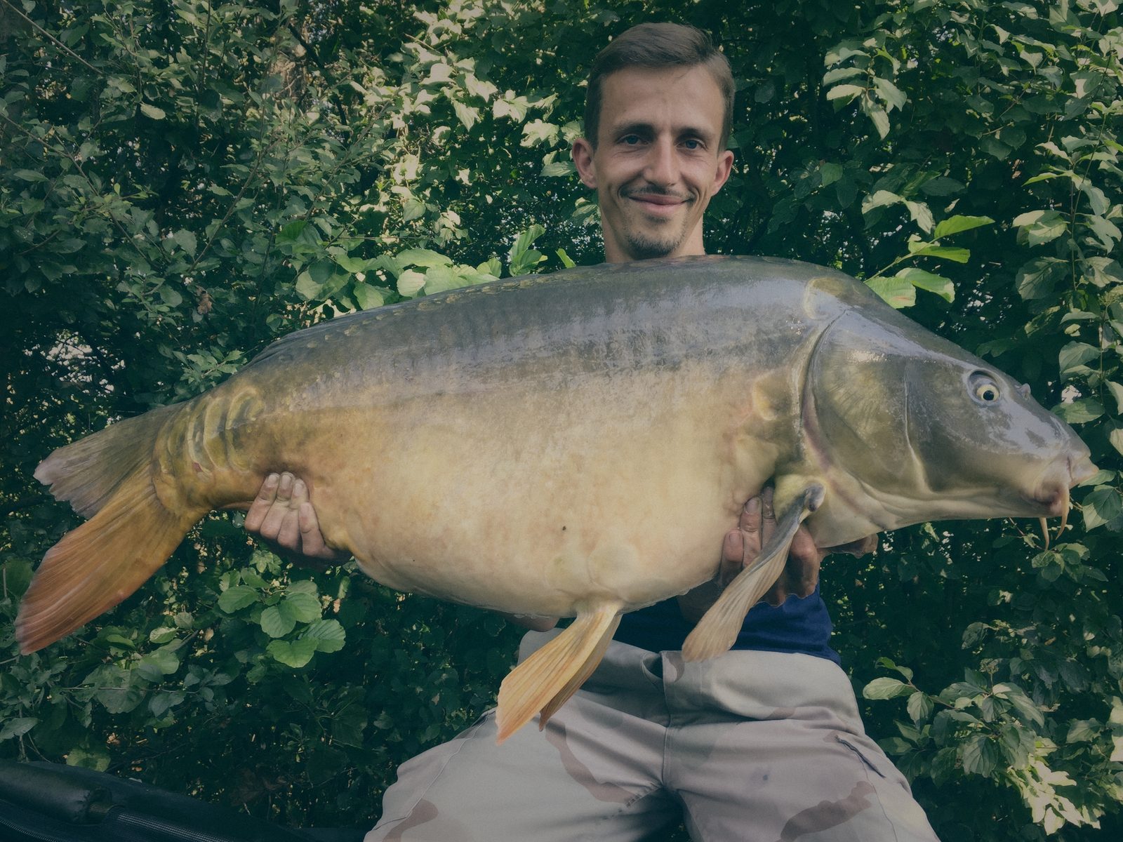 Styria Carp 2016