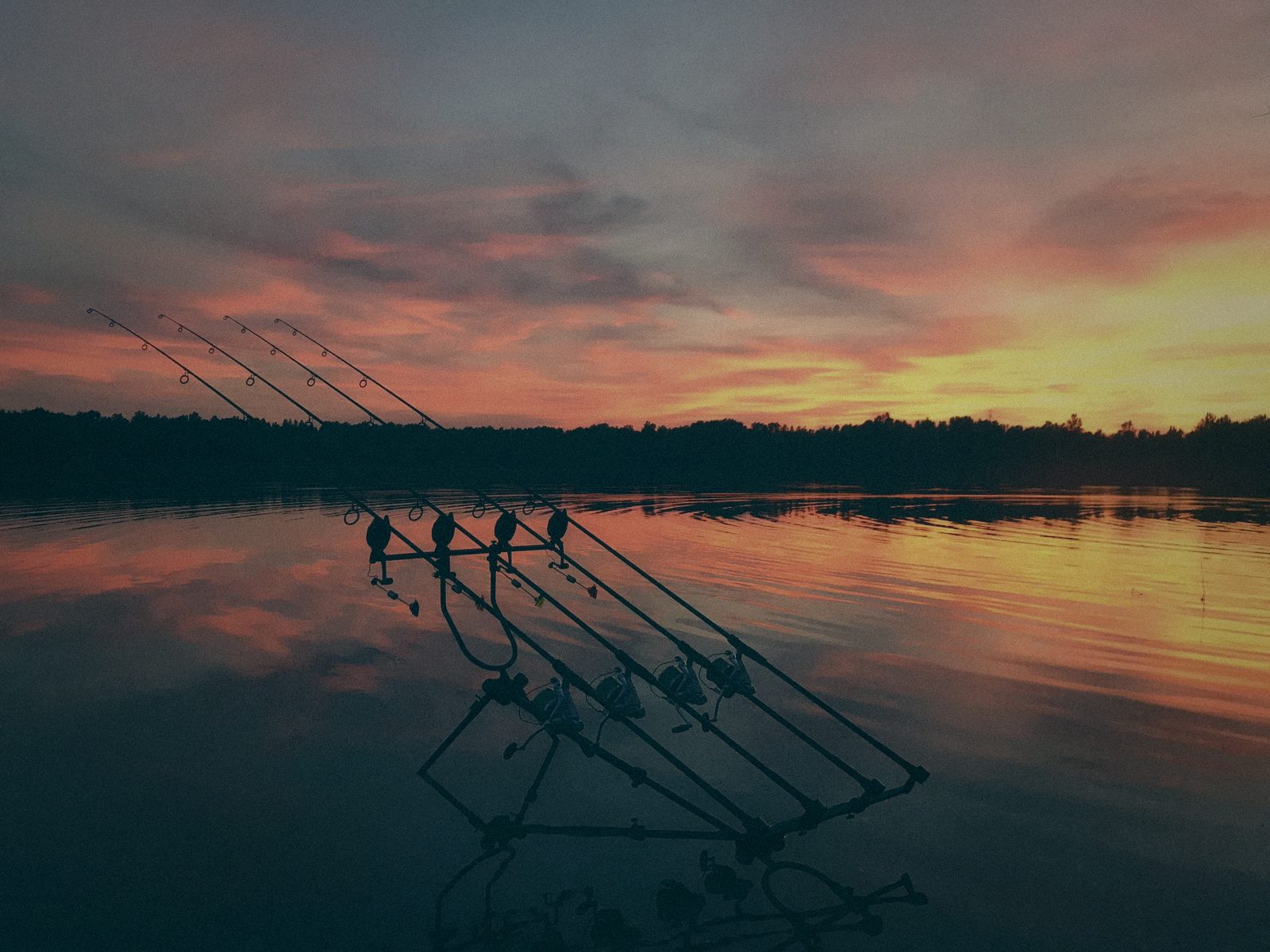 Styria Carp
