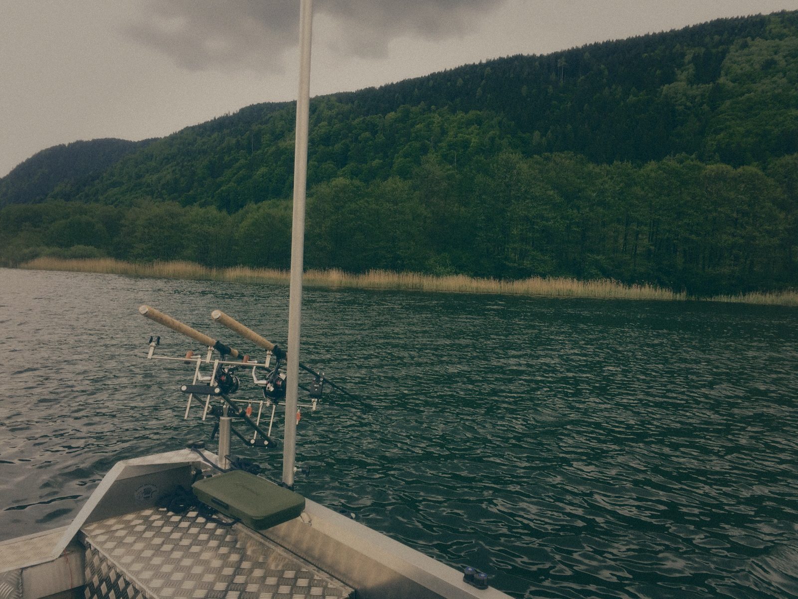 Styria Carp 2017