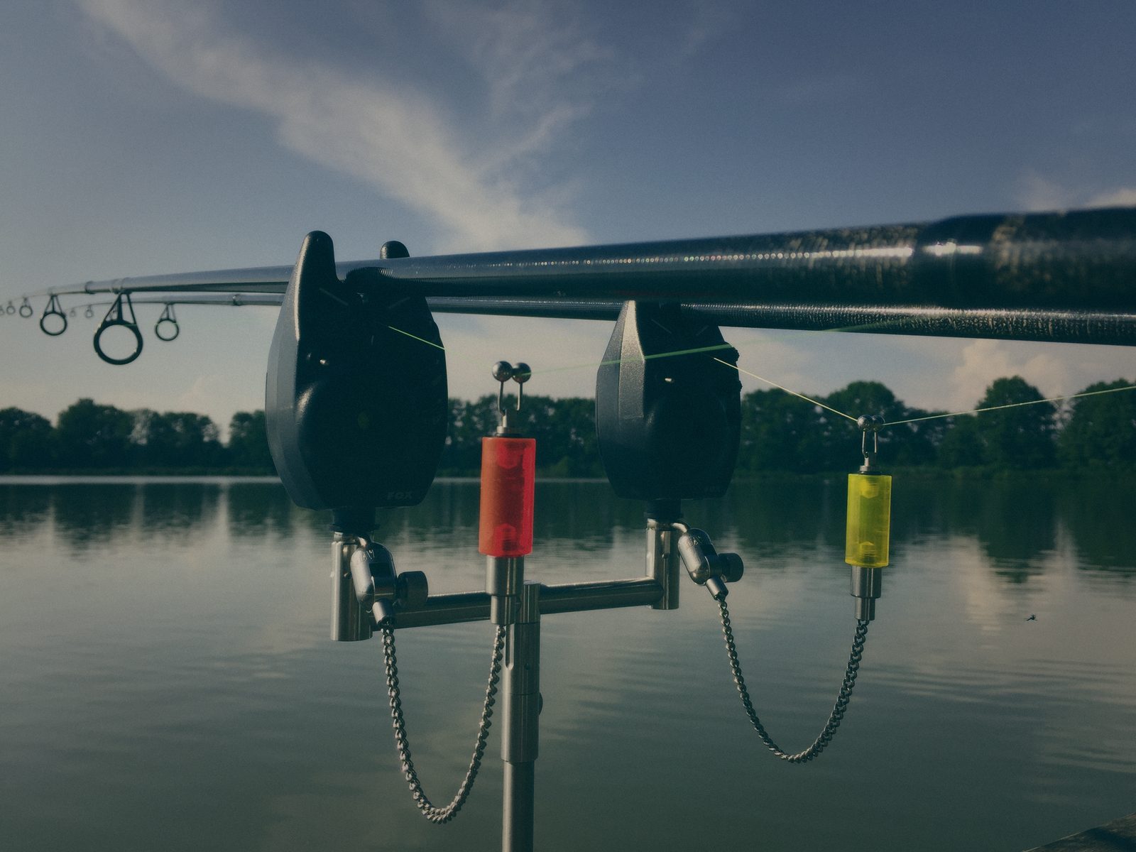 Styria Carp 2018