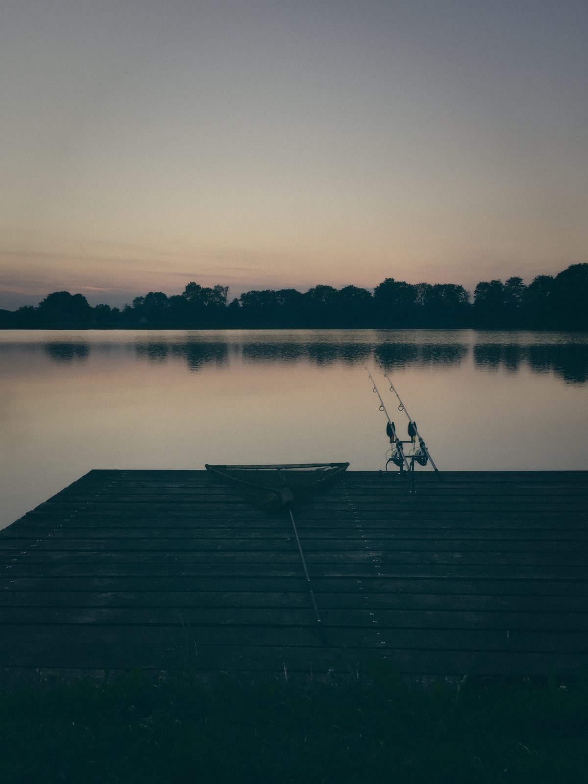 Styria Carp 2018