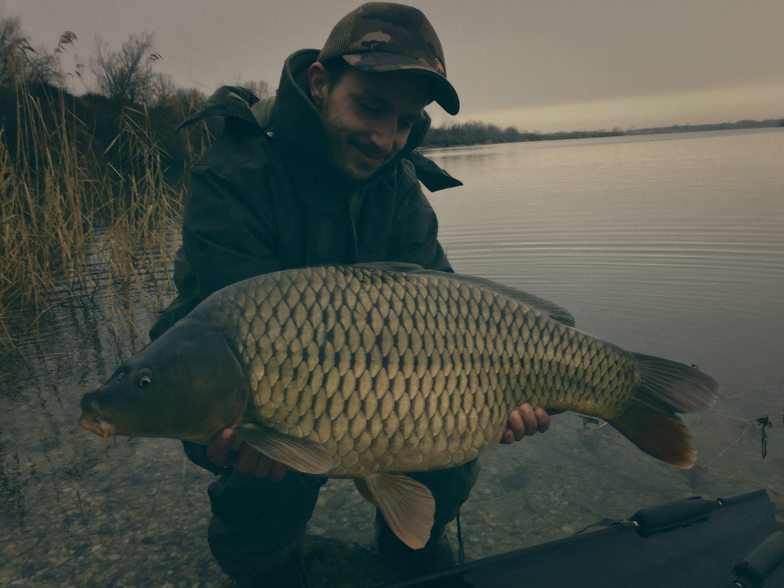 Styria Carp 2018