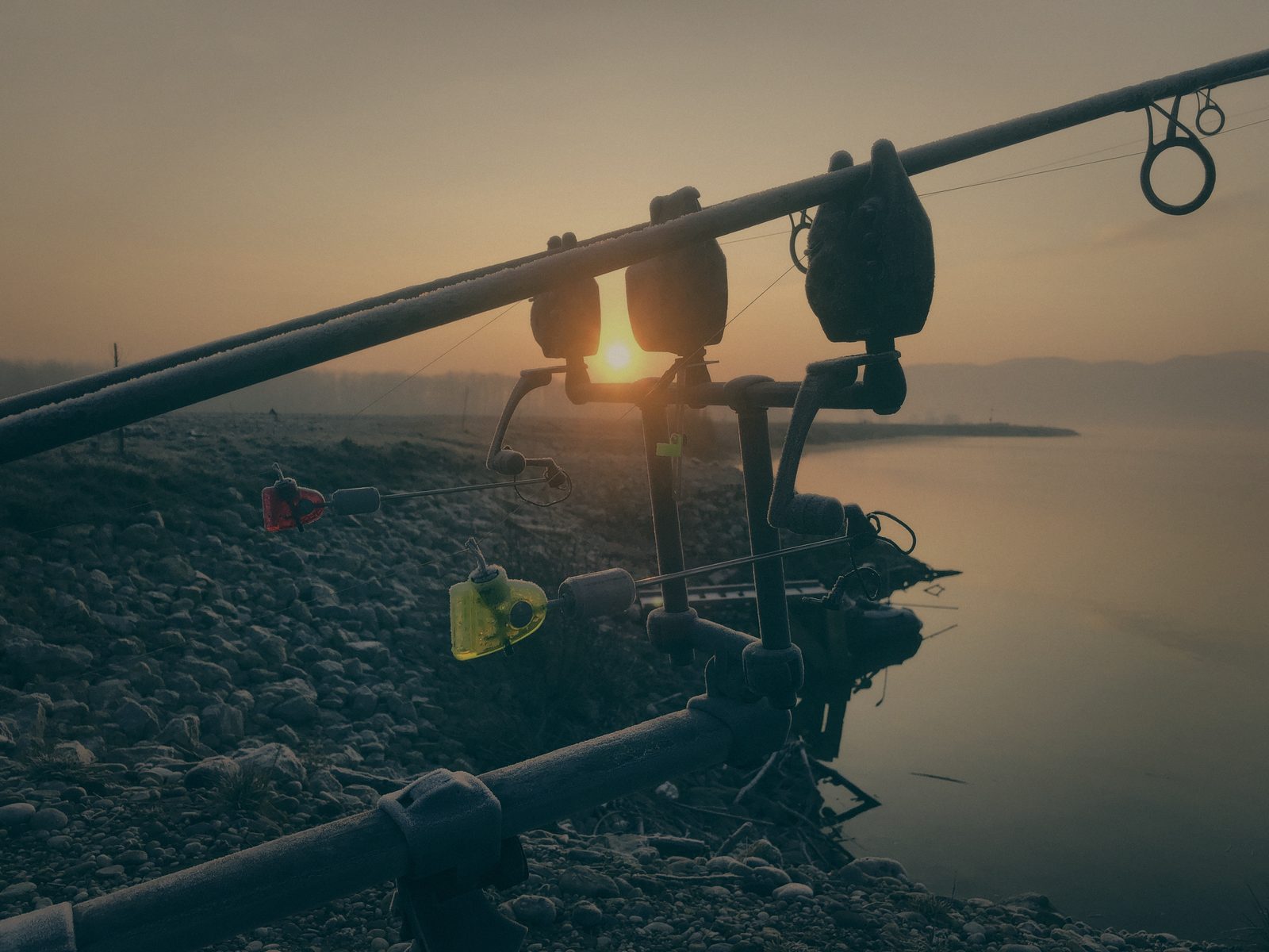 Styria Carp 2020