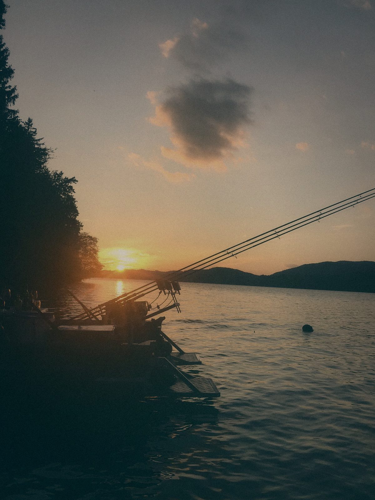 Styria Carp