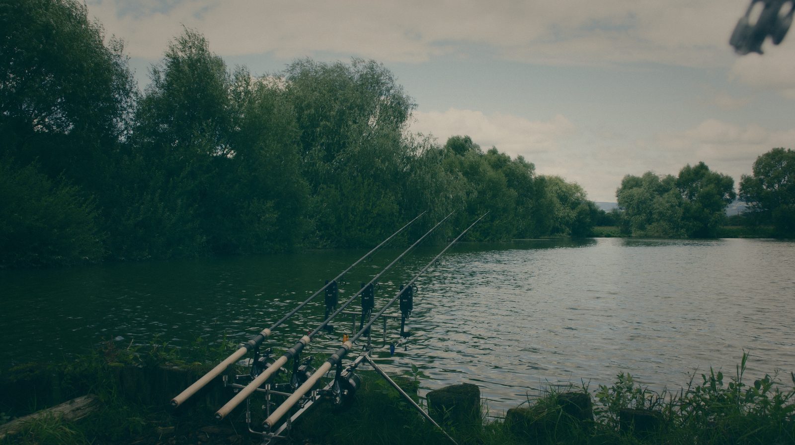 Styria Carp 2025