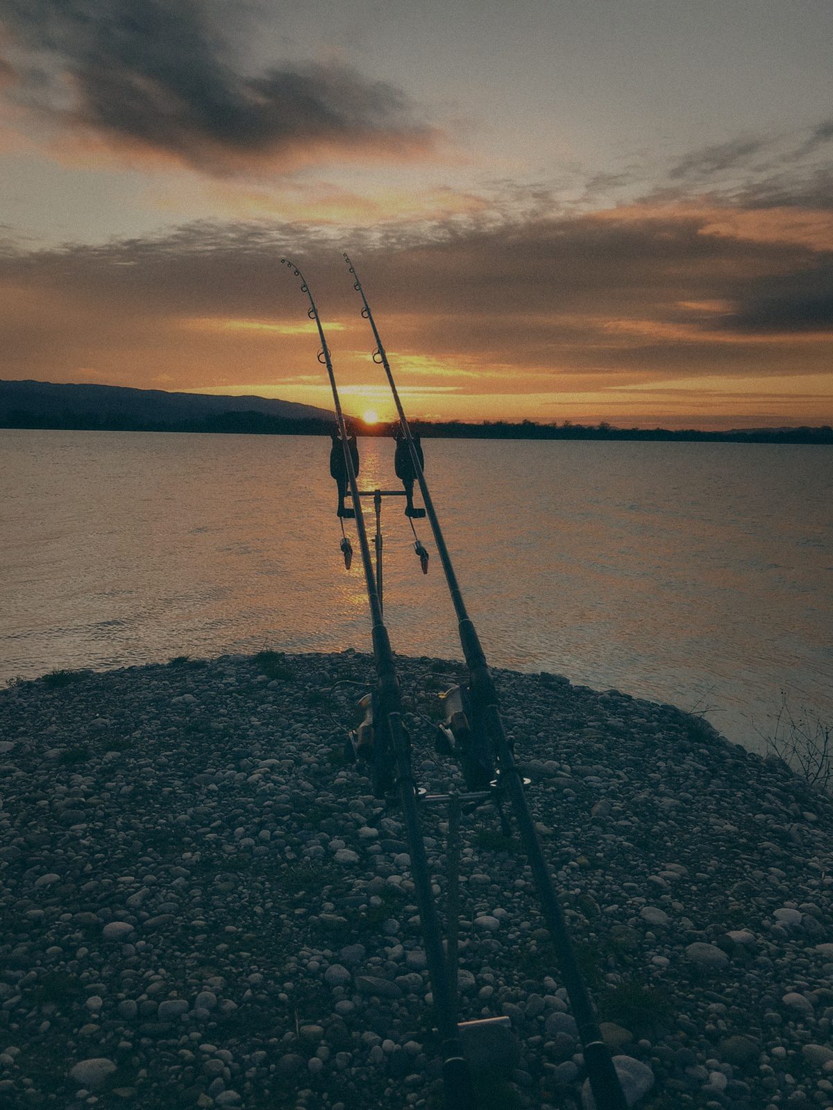 Styria Carp 2019