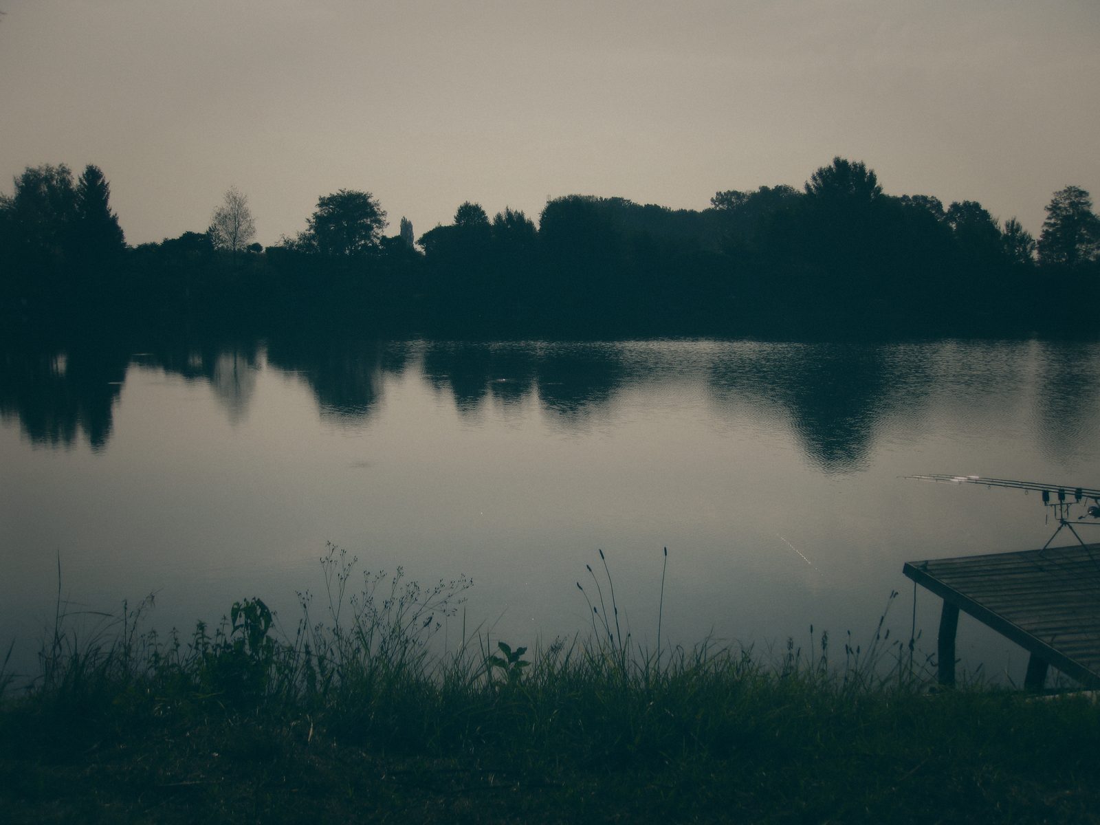 Styria Carp