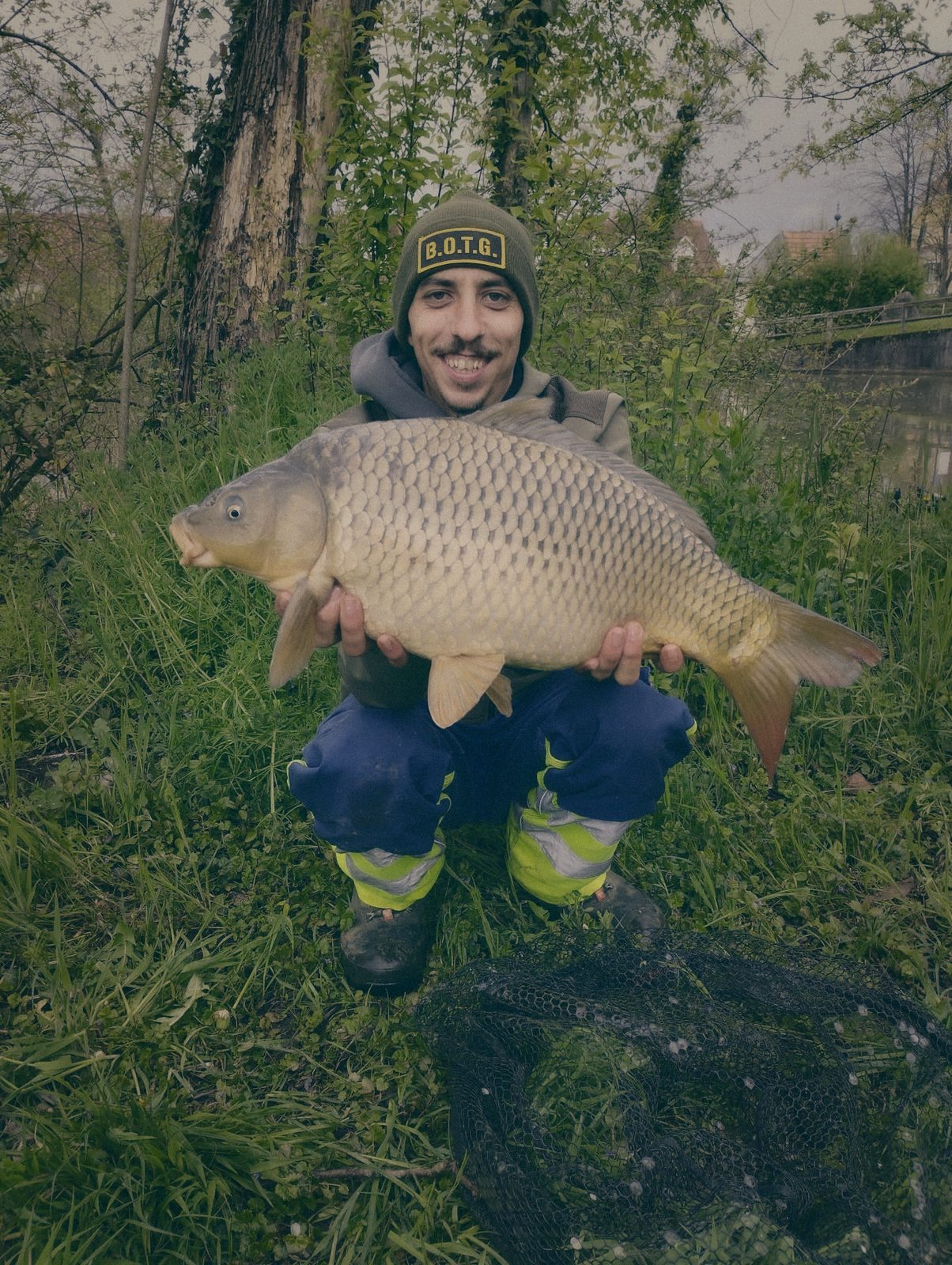 Styria Carp