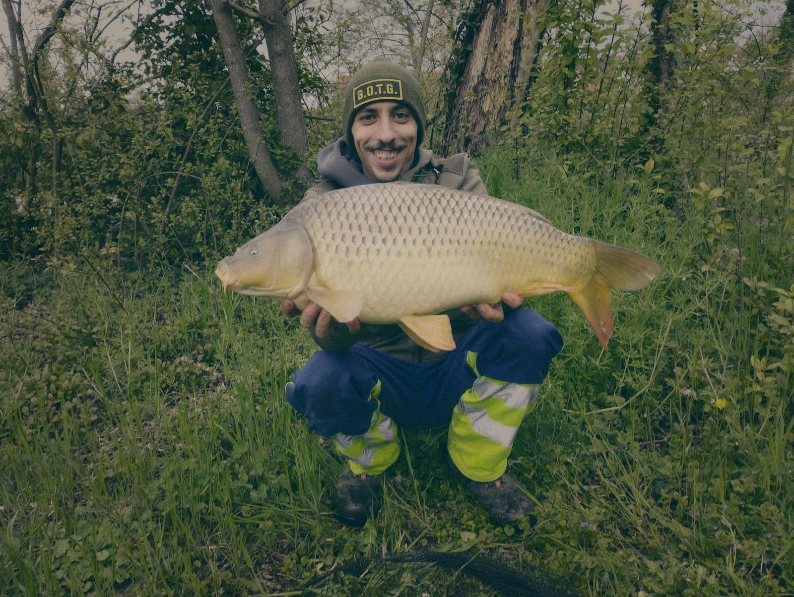 Styria Carp