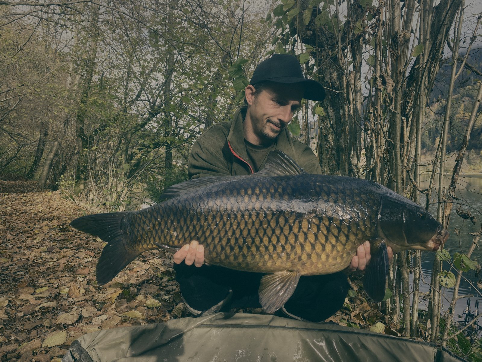 Styria Carp