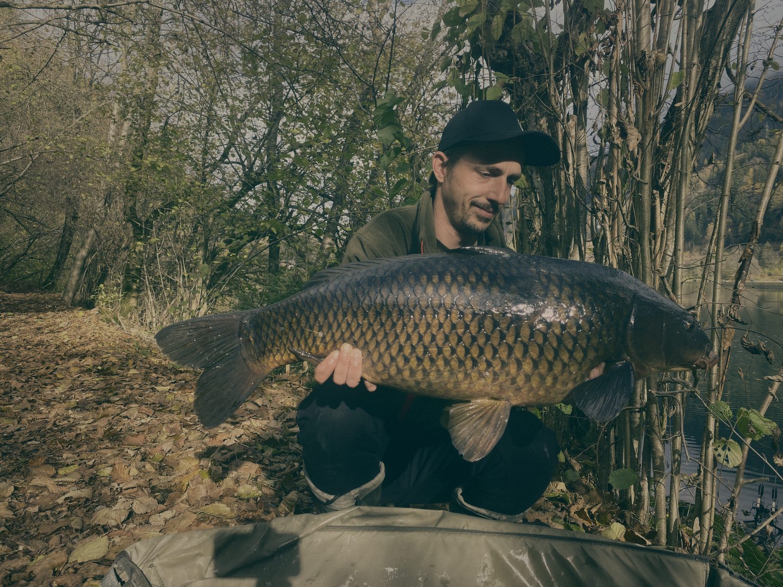 Styria Carp