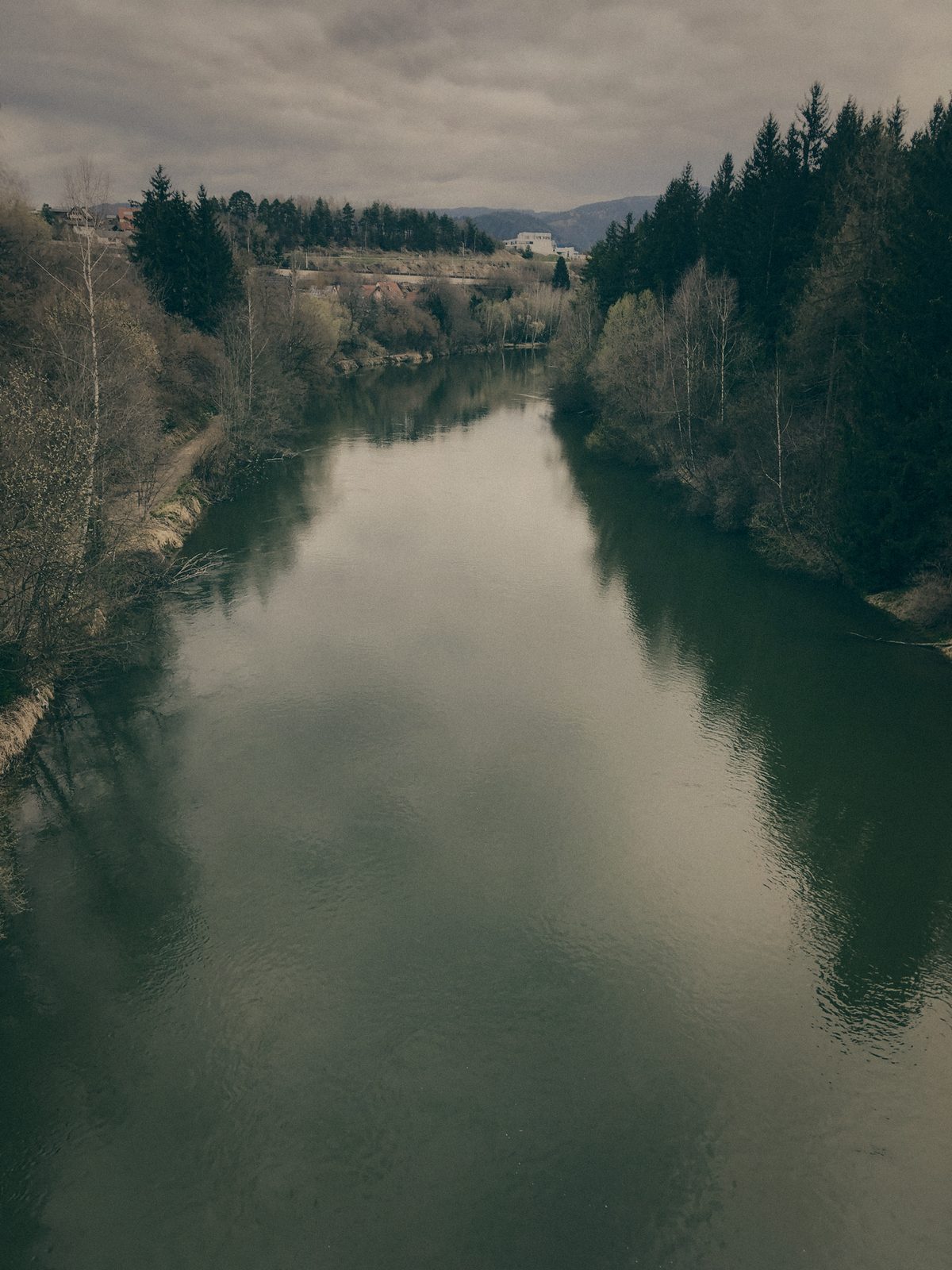 Styria Carp 0000