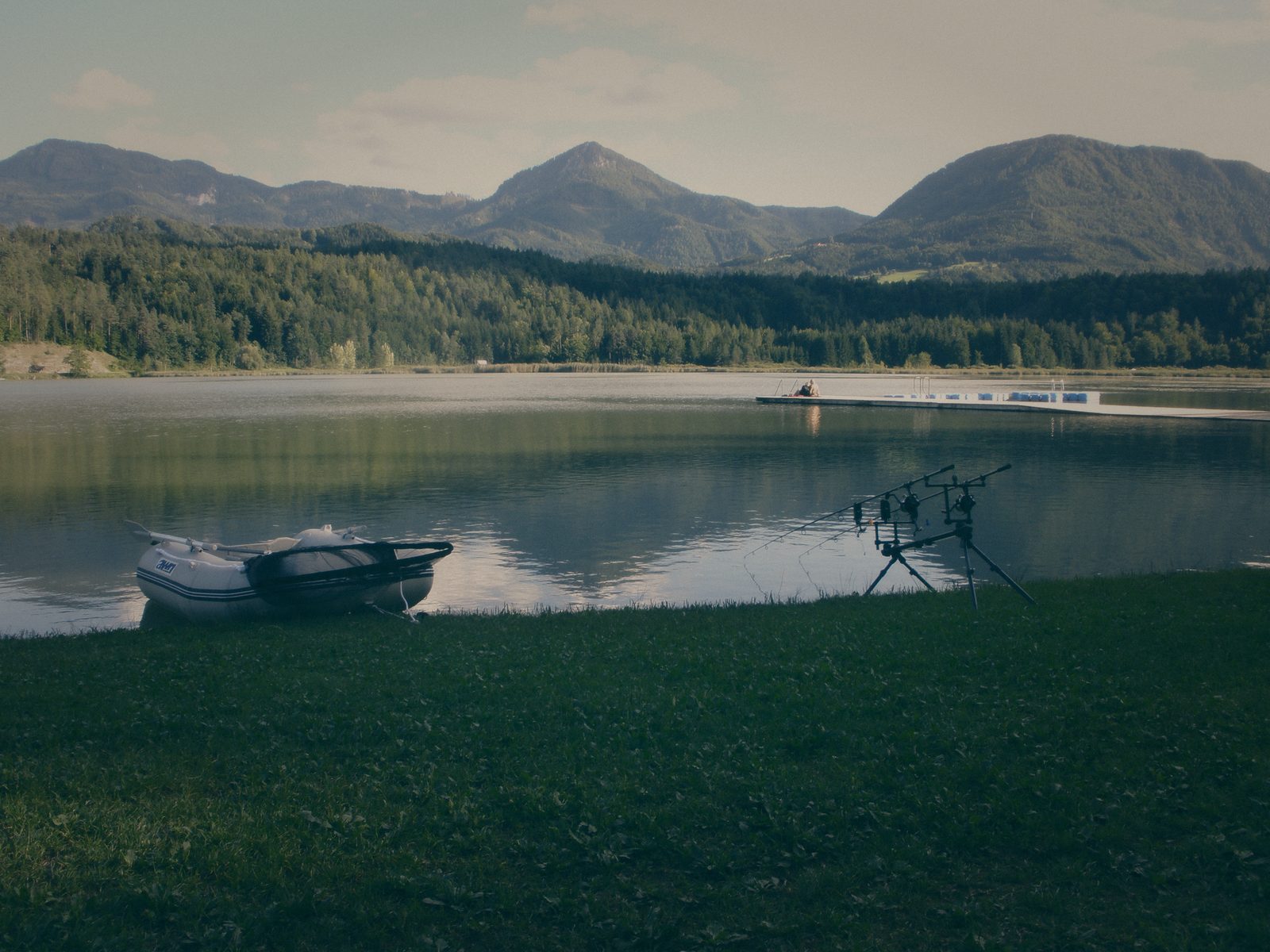 Styria Carp 0000