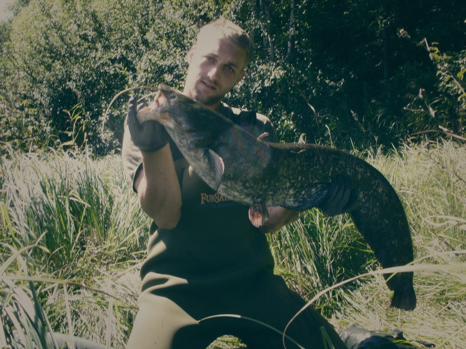 Styria Carp 0000