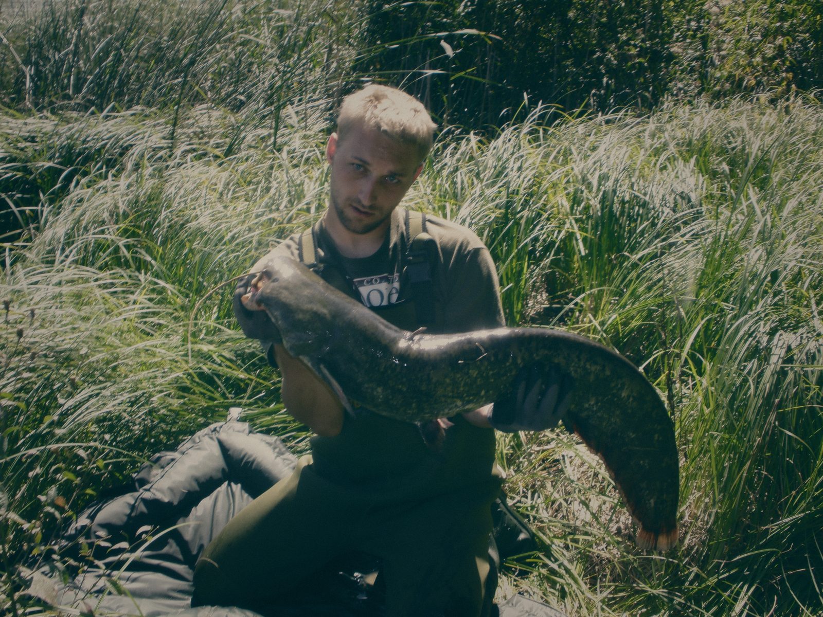 Styria Carp 0000