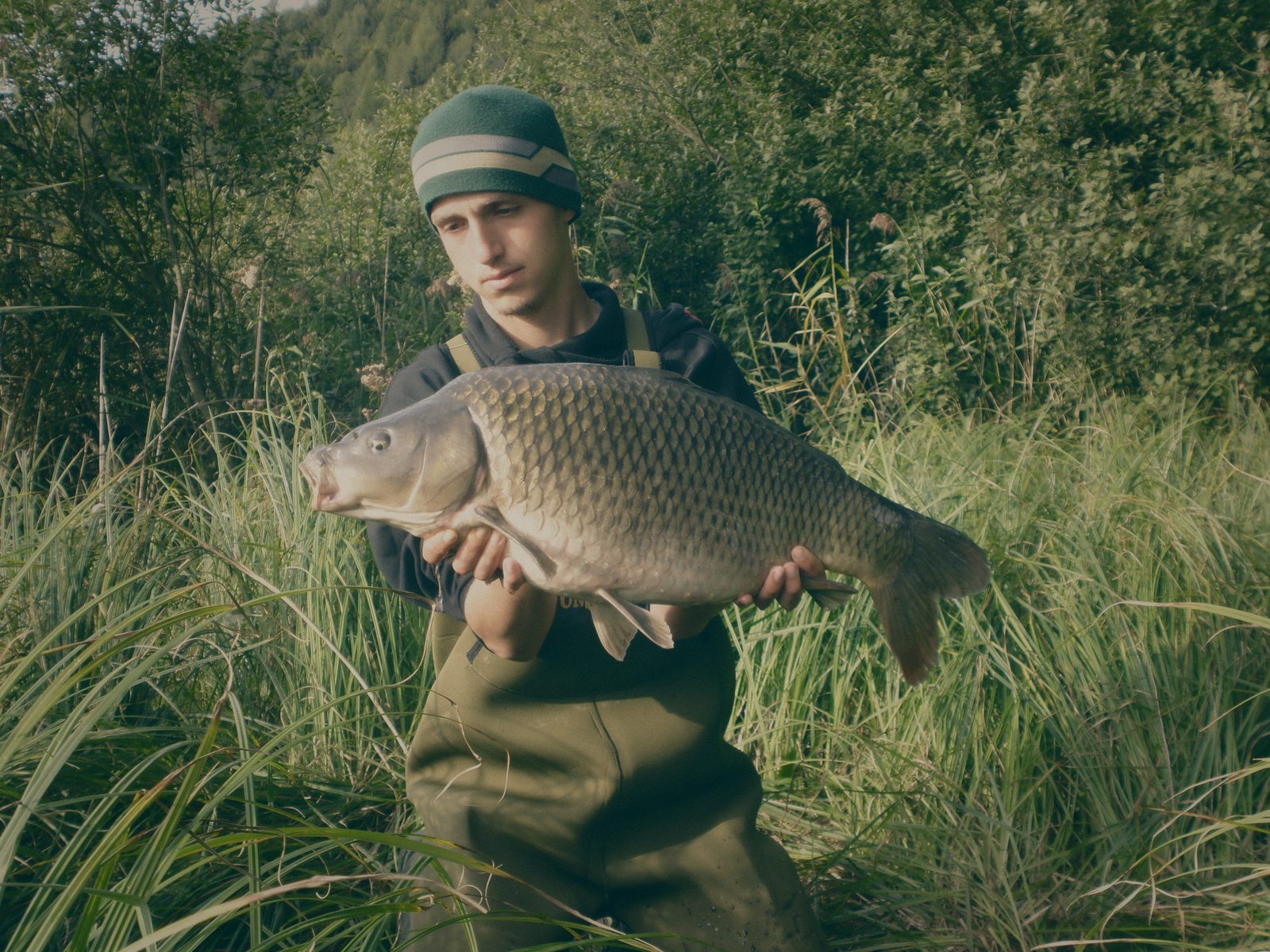 Styria Carp 0000
