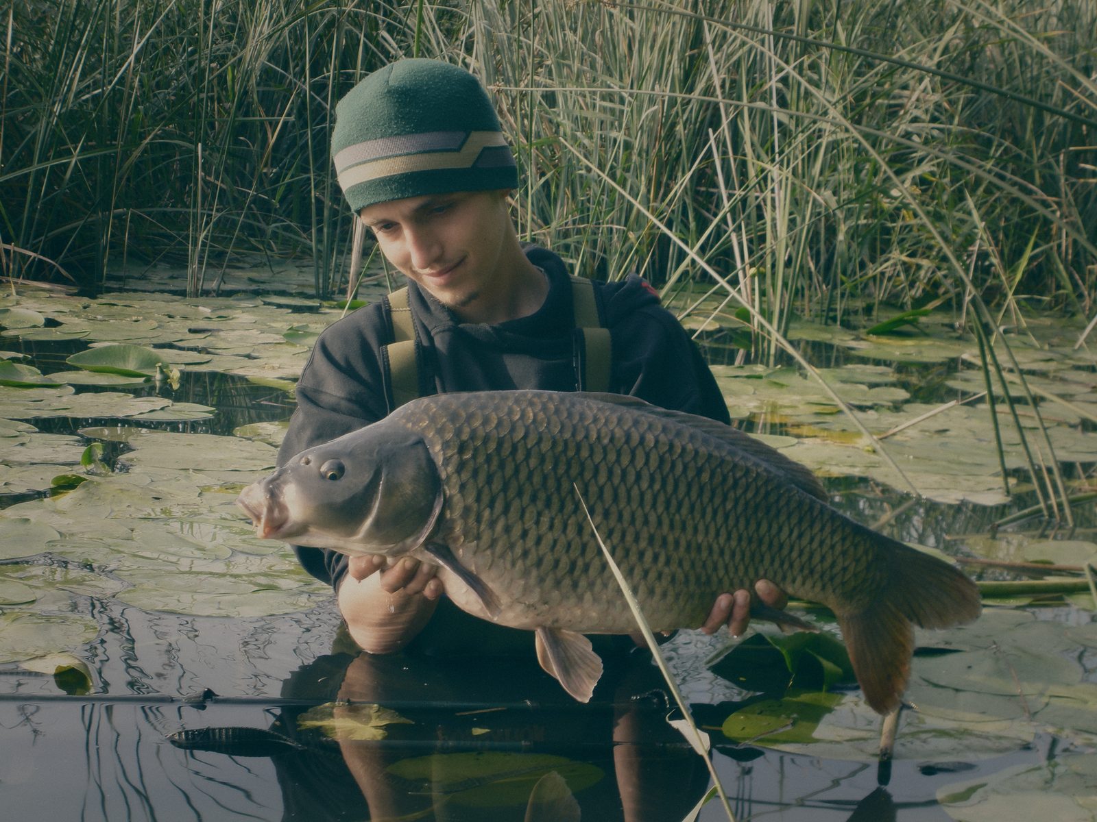 Styria Carp 0000