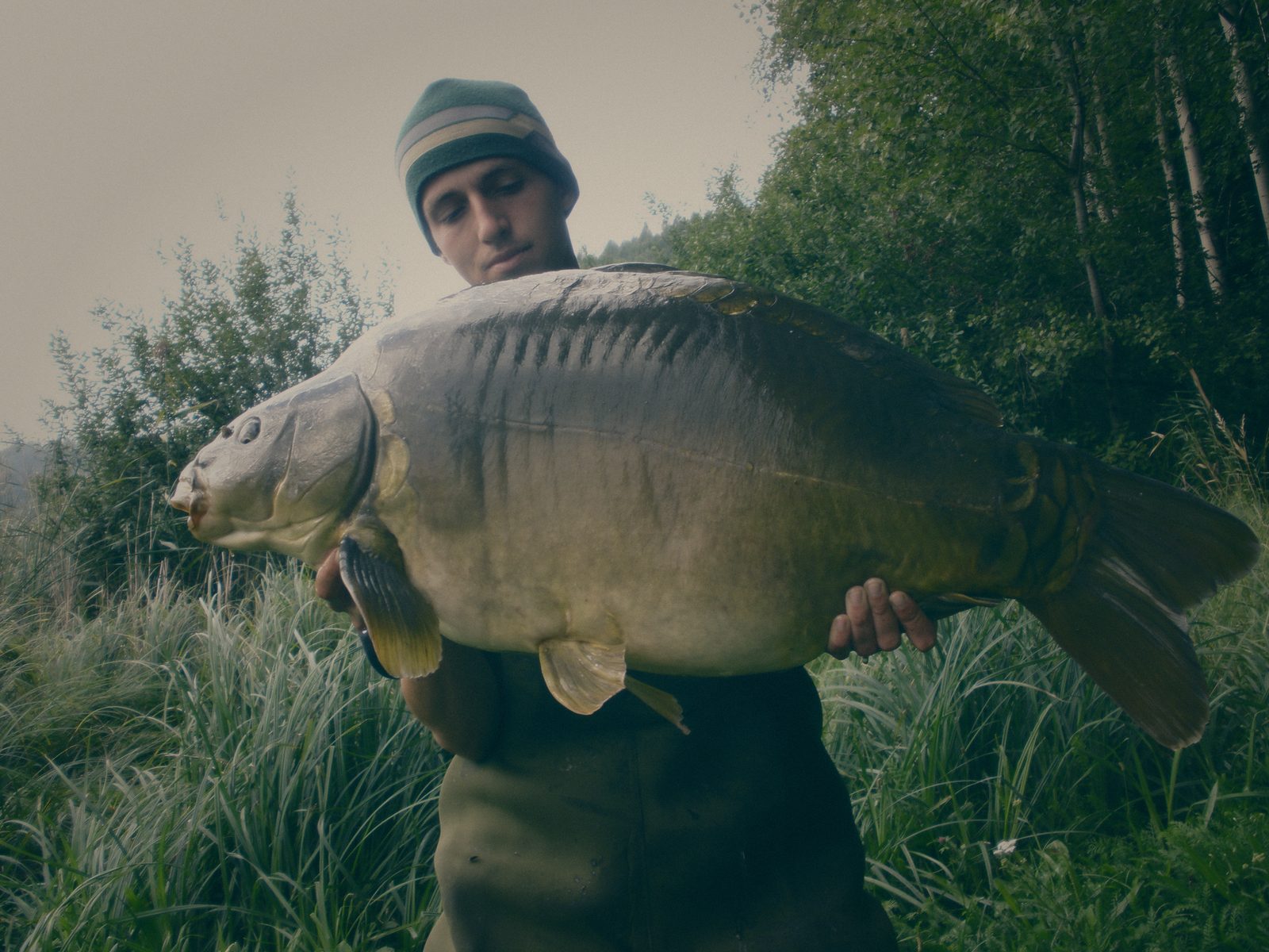 Styria Carp 0000