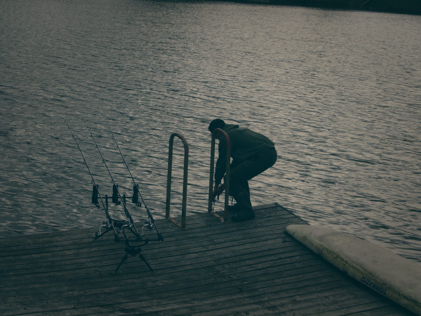 Styria Carp 0000