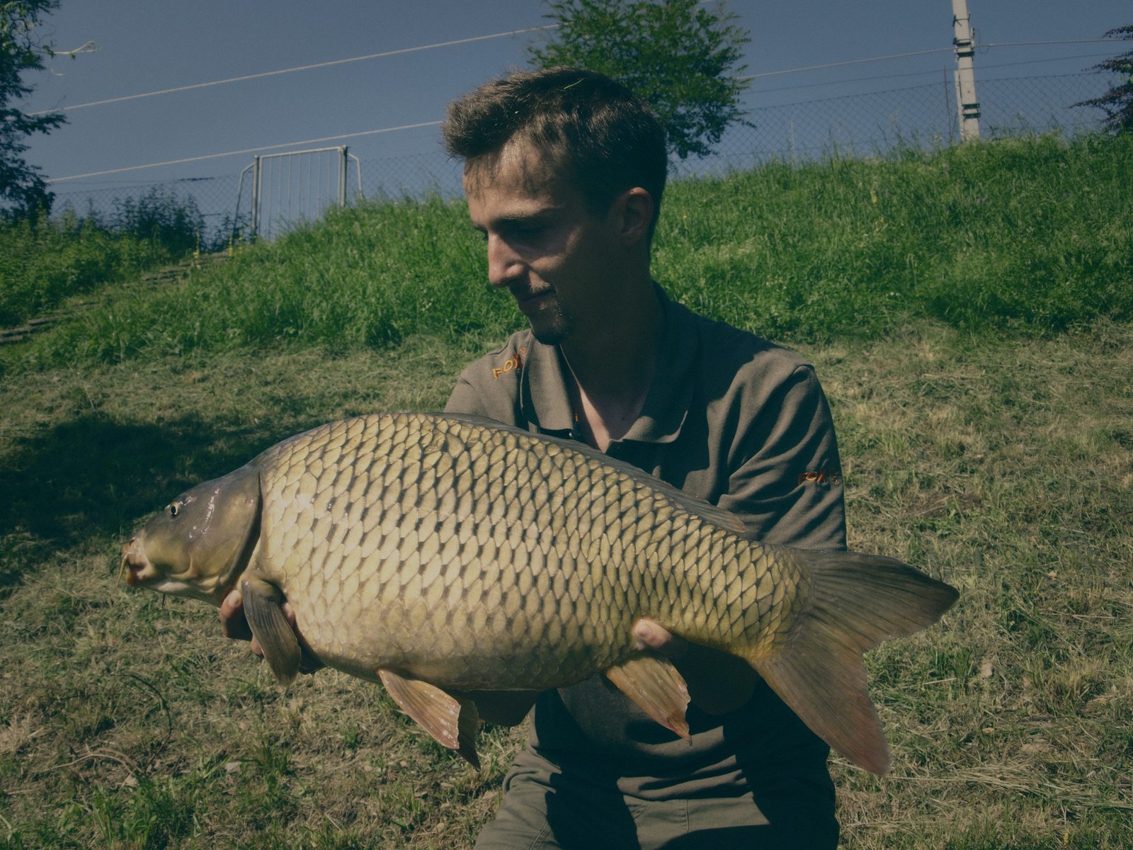 Styria Carp 2006