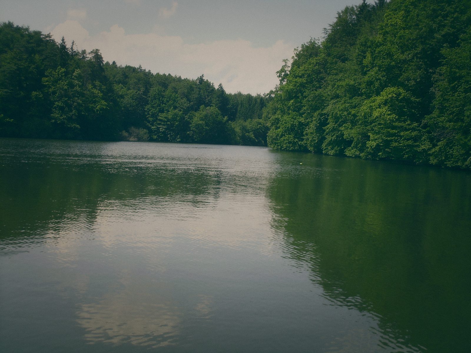 Styria Carp 2006