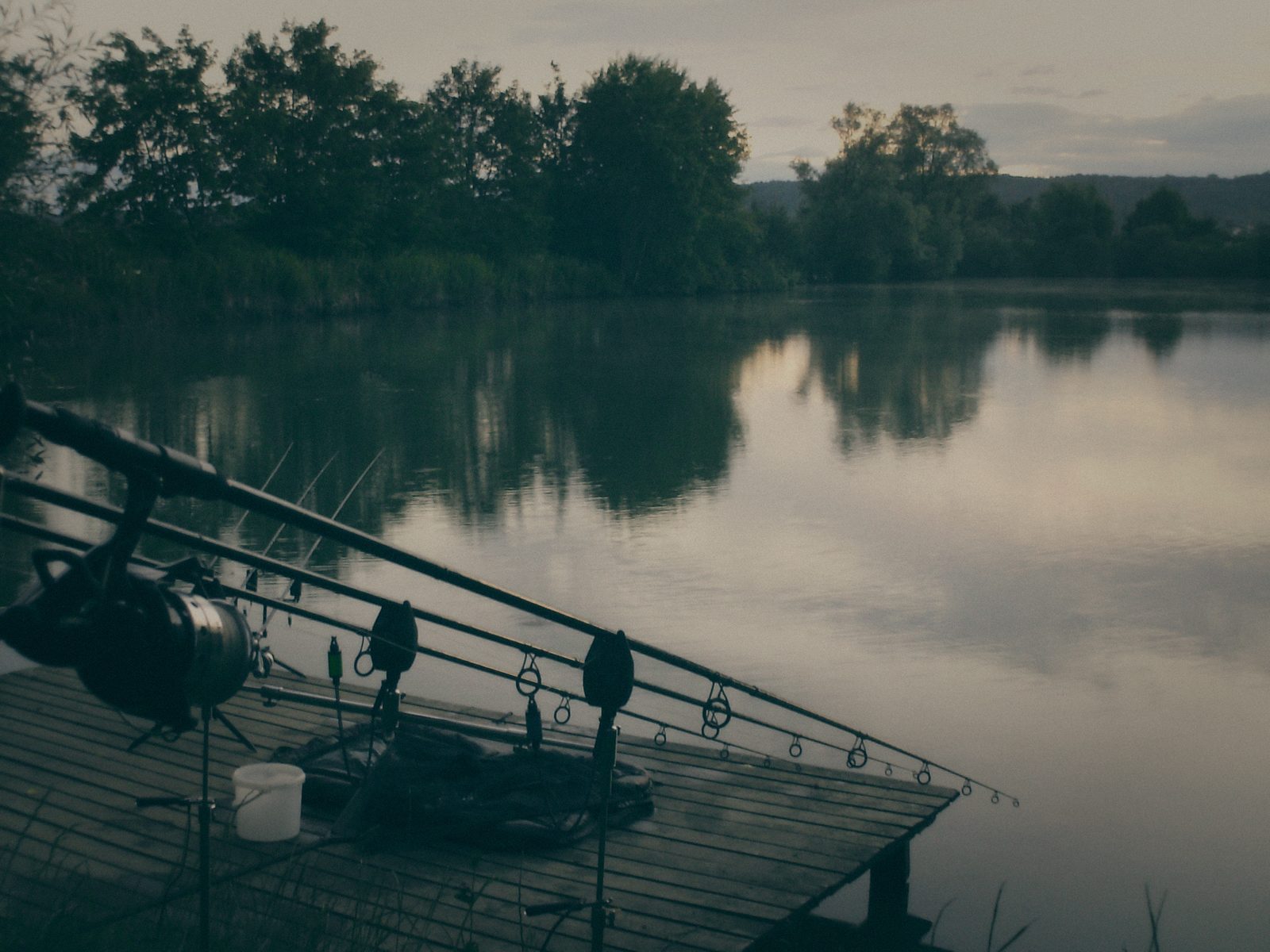 Styria Carp 2006