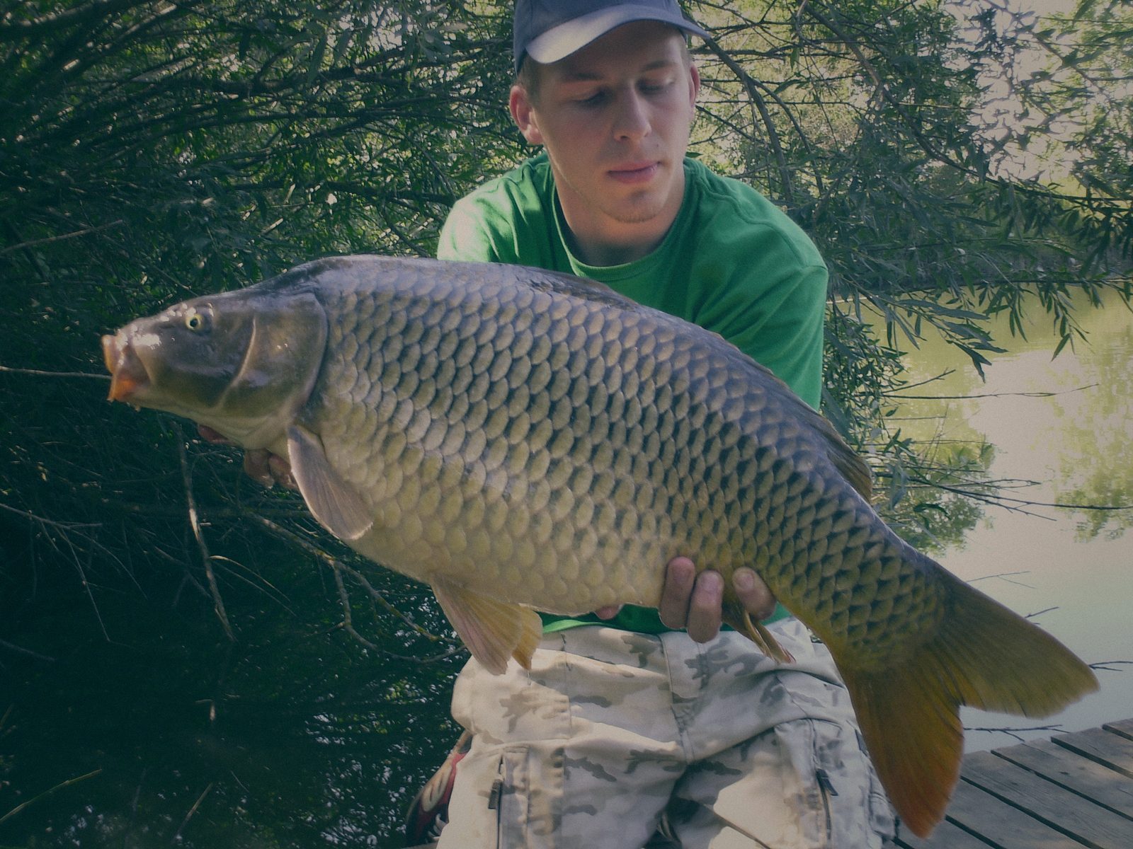 Styria Carp 2006