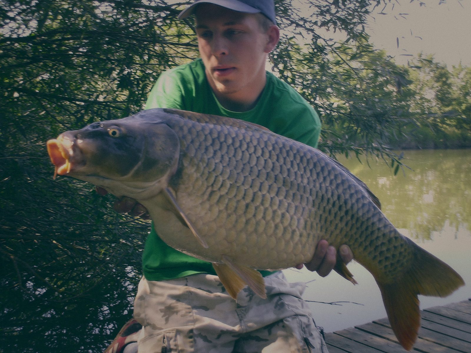 Styria Carp 2006