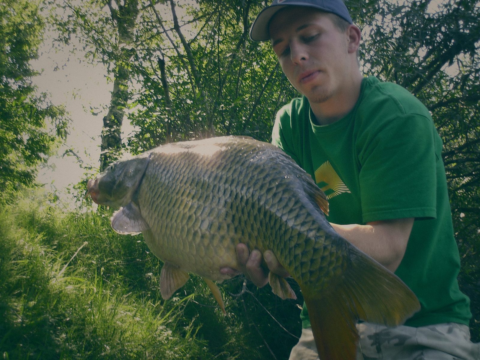 Styria Carp 2006